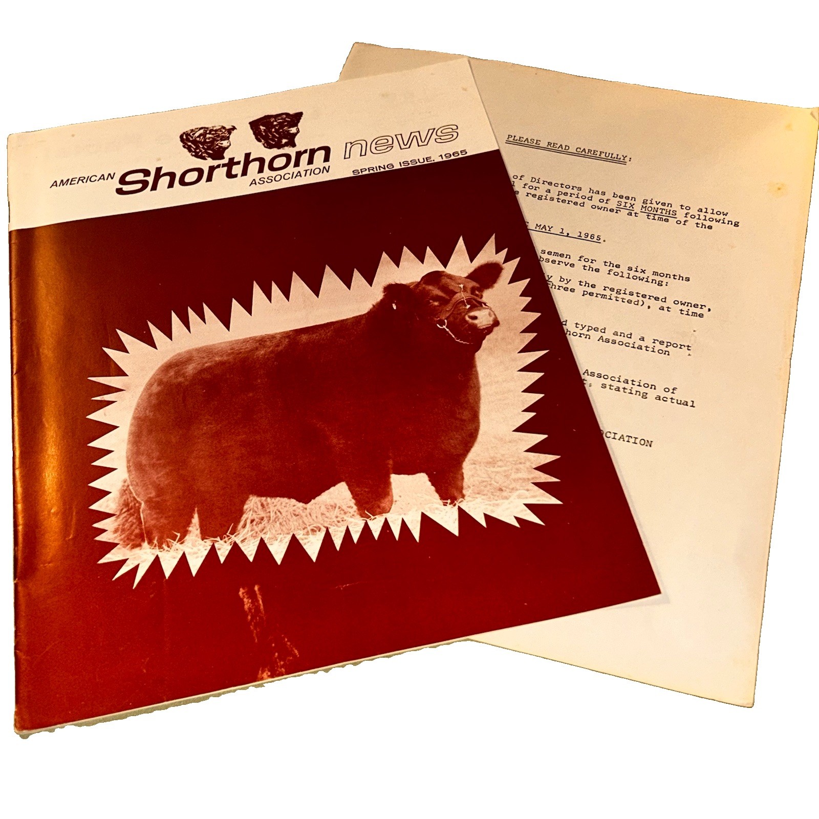 Spring Issue 1965 And A Special Notice American Shorthorn Association News