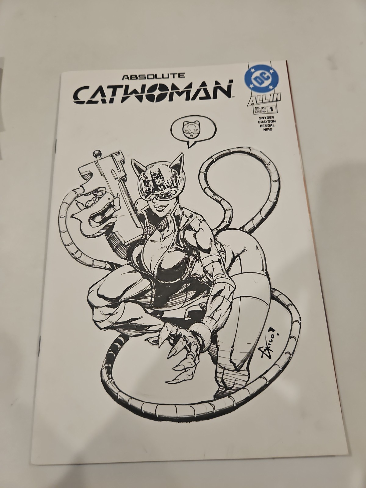 Absolute Catwoman #1 Blank Sketch Eskivo Catwoman Original Art Sketch W...