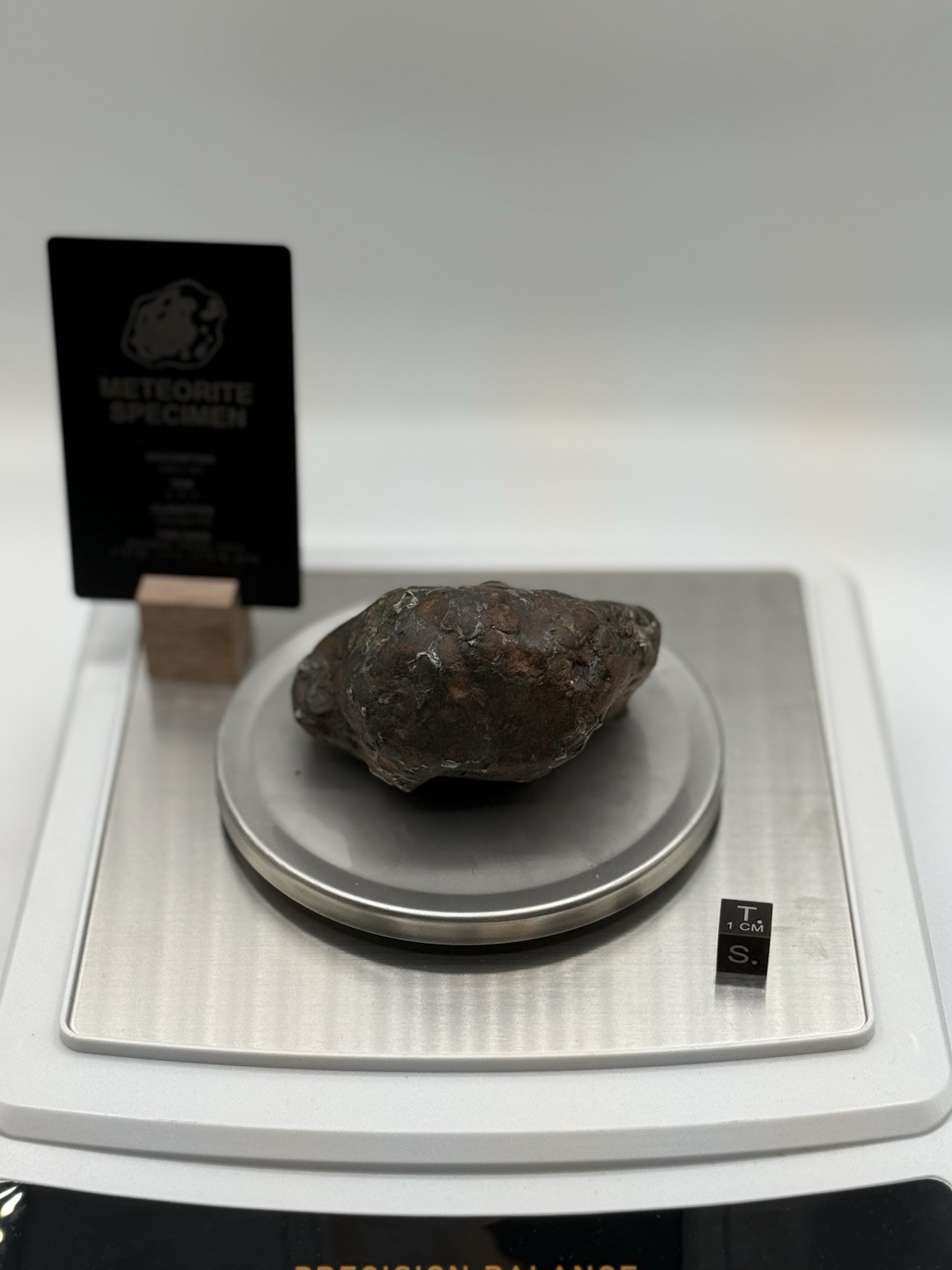 Sericho  - Pallasite - 447g  - Meteorite Whole