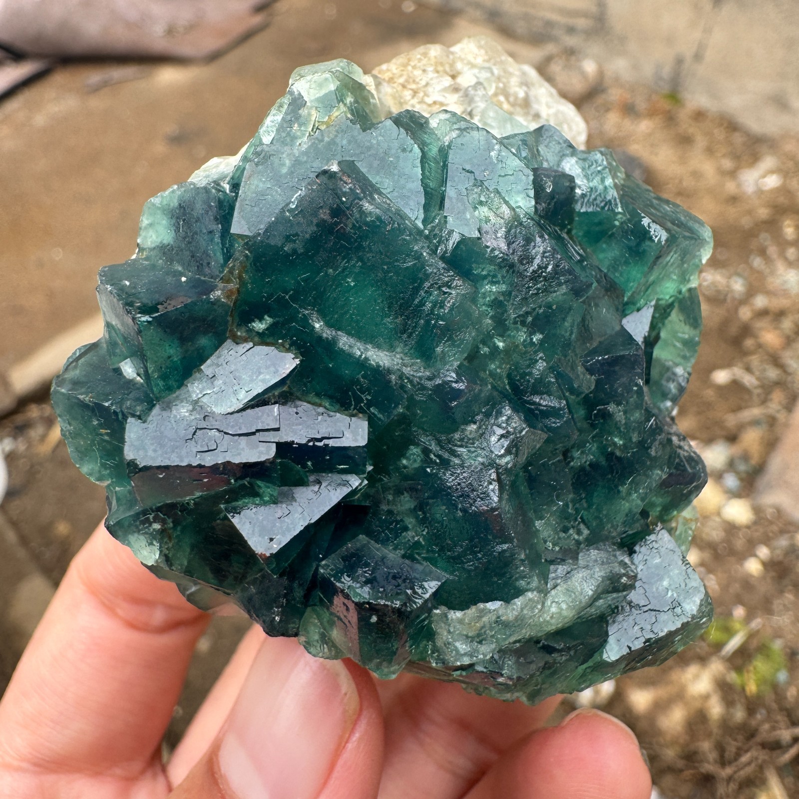 170G Natural cubic green fluorite crystal cluster rough mineral specimen Healing