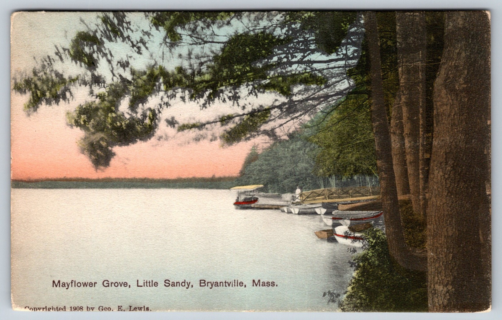 Vintage Postcard, year copyright 1908, Mayflower Grove, Little Sandy, Mass. Vintage Postcard, year copyright 1908, Mayflower Grove, Little Sandy, Mass.