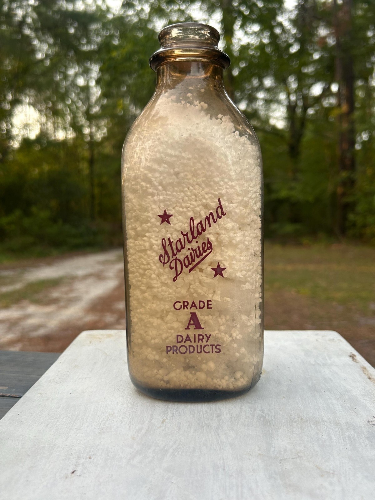 Starland Dairies Savannah GA Quart Milk Bottle Pictorial ACL Smoky Glass 1950s