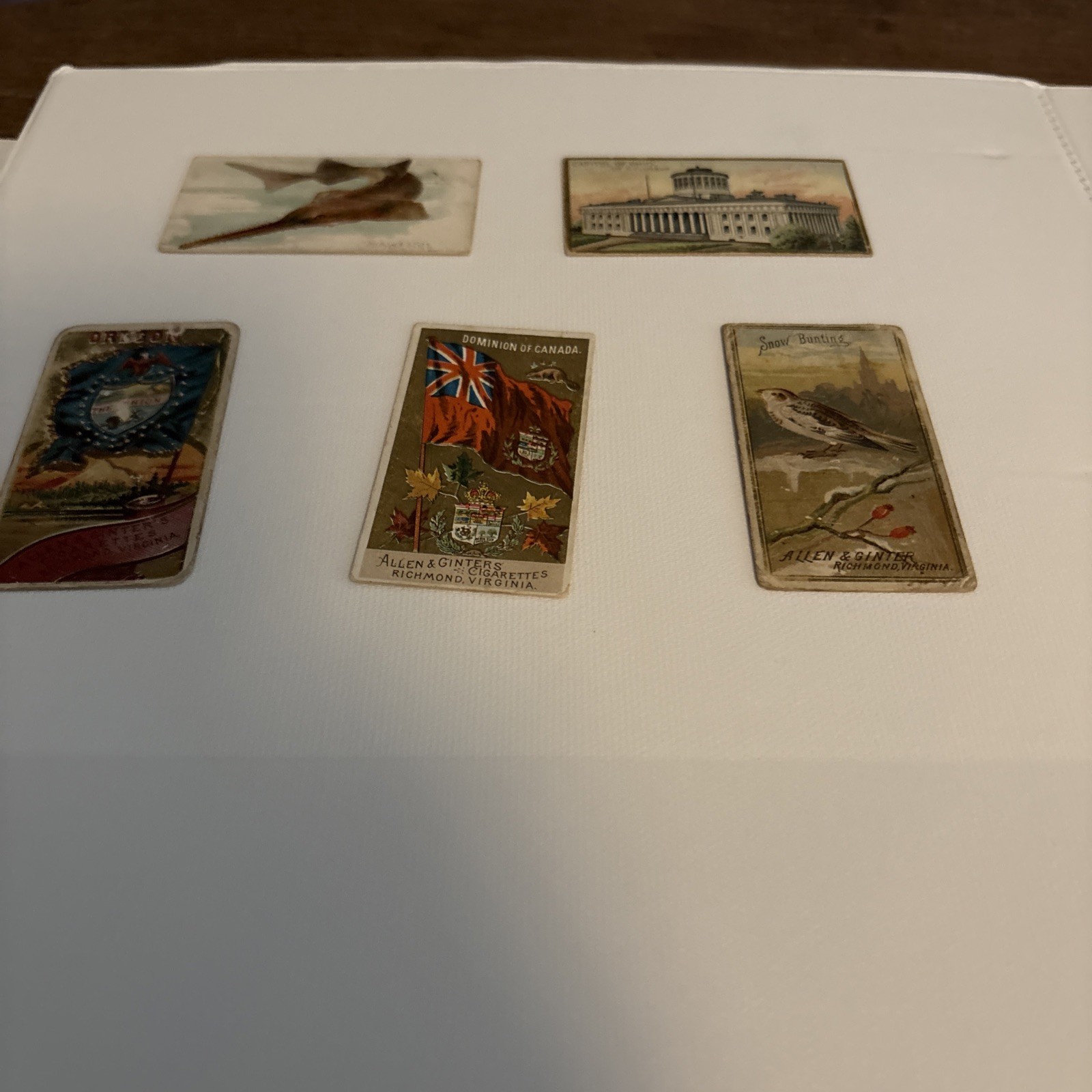 Vintage Allen and Ginter Lot Of 5- 1880’s Vintage Allen and Ginter Lot Of 5- 1880’s