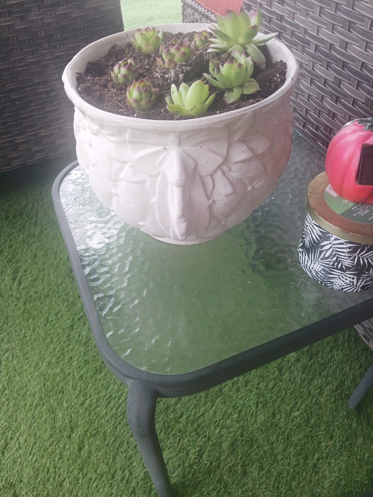 White Pot. Mccoy