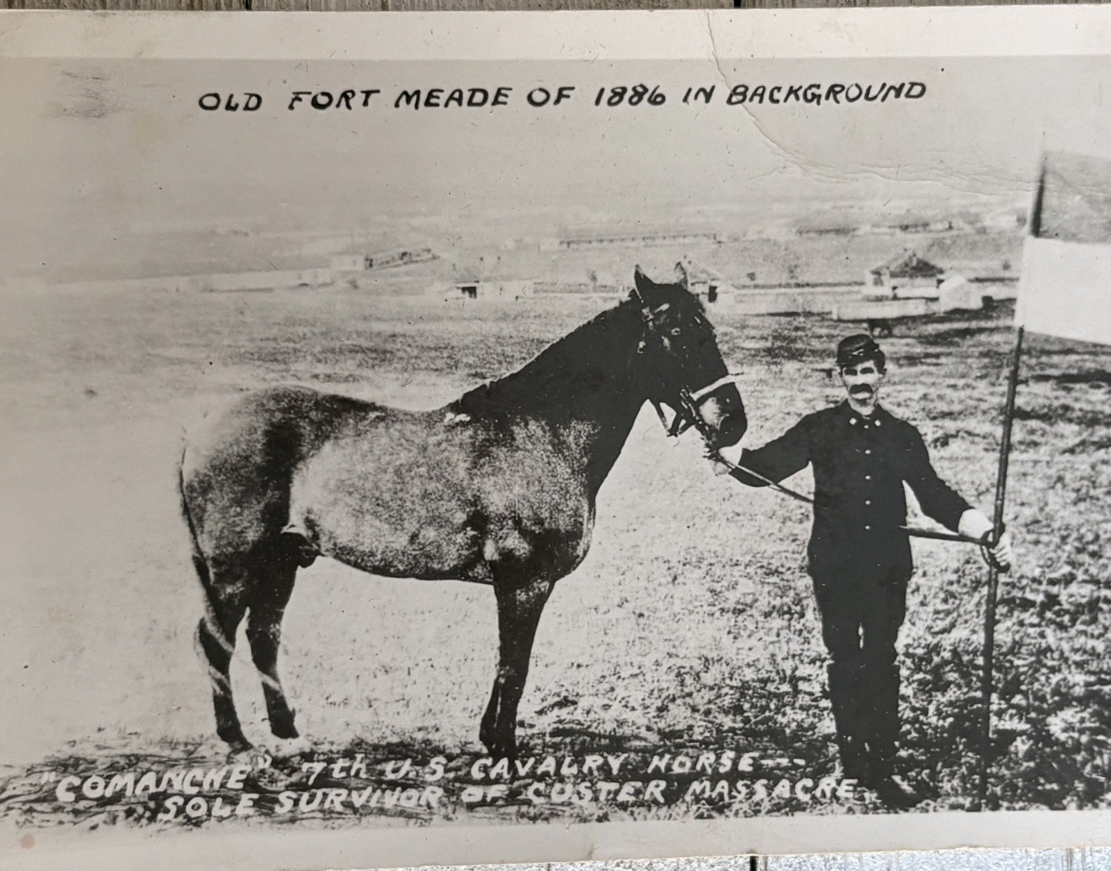 Rare Vtg RPPC Comanche Custer Survivor 7th Cavalry Fort Meade SD Little Bighorn