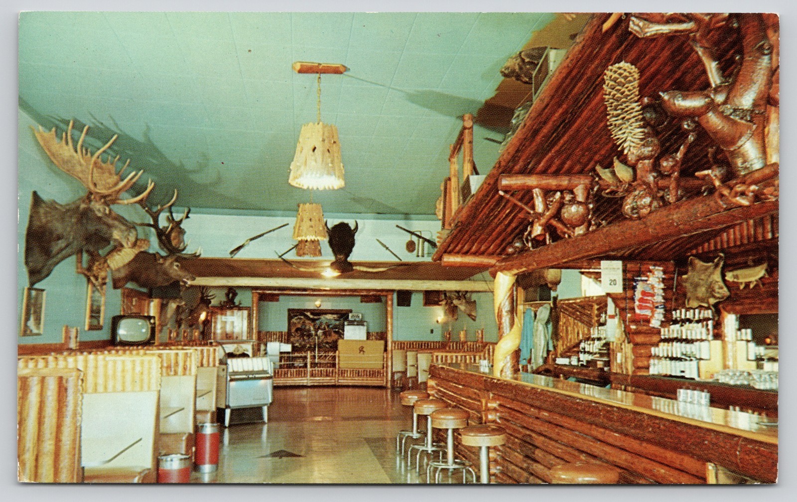 Rustic Pine Tavern Taxidermy Moose Buffalo Dubois Wyoming Postcard