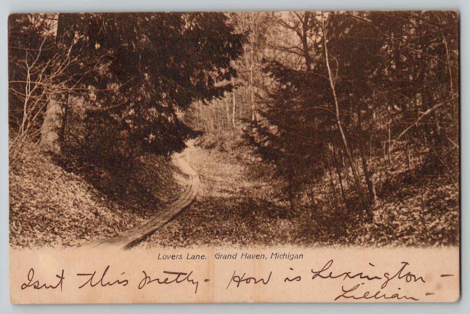 Lover\'s Lane Grand Haven (Pre State Park) Michigan Sepia Postcard c1908