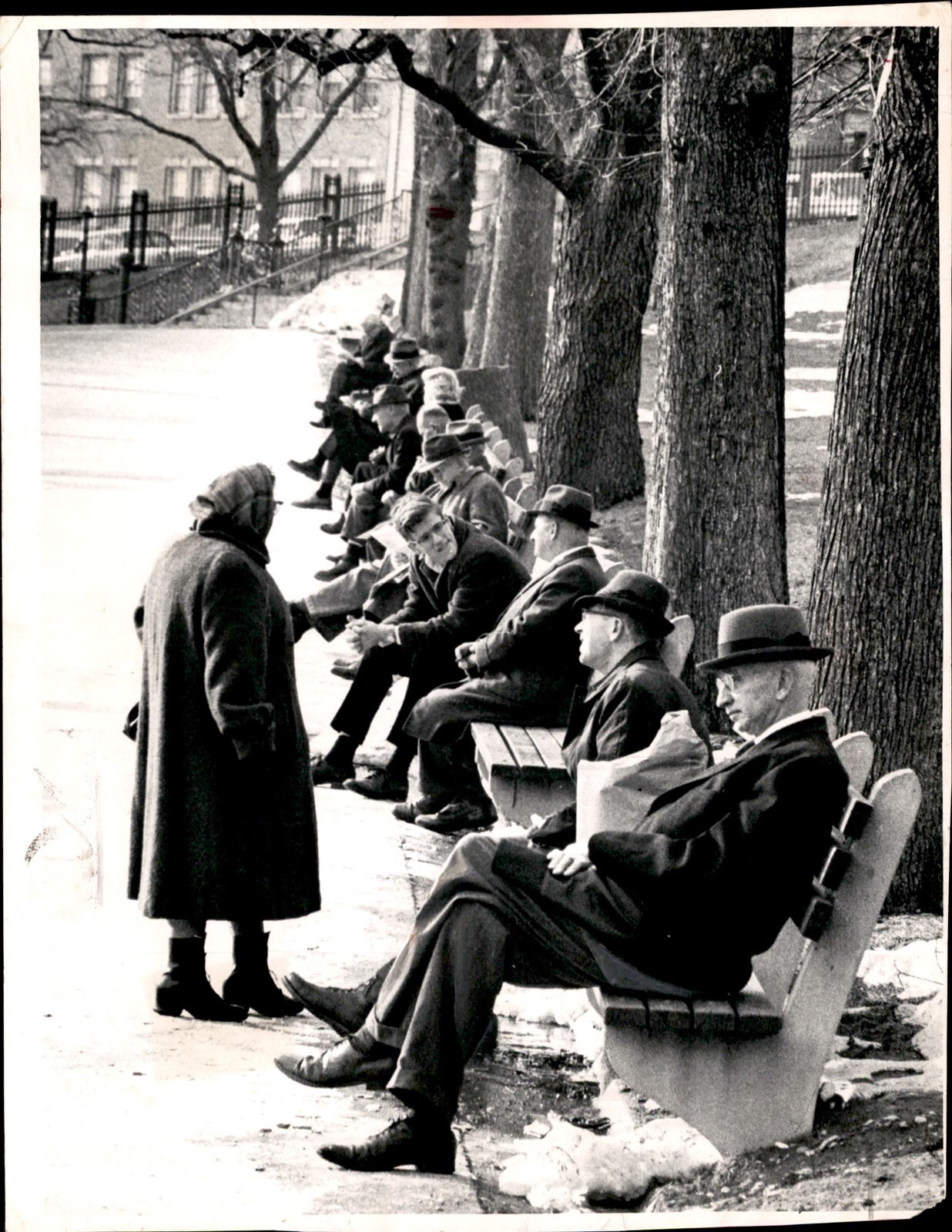 LD355 1964 Original UPI Photo BALMY DAY IN BOSTON COMMON PARK BENCHES FULL
