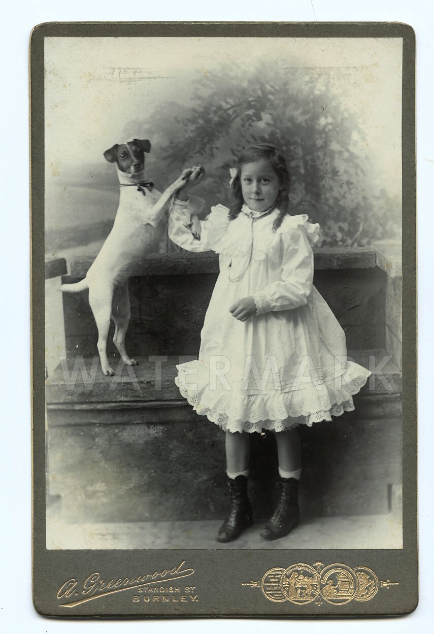 Antique Cabinet Photo Little Girl 