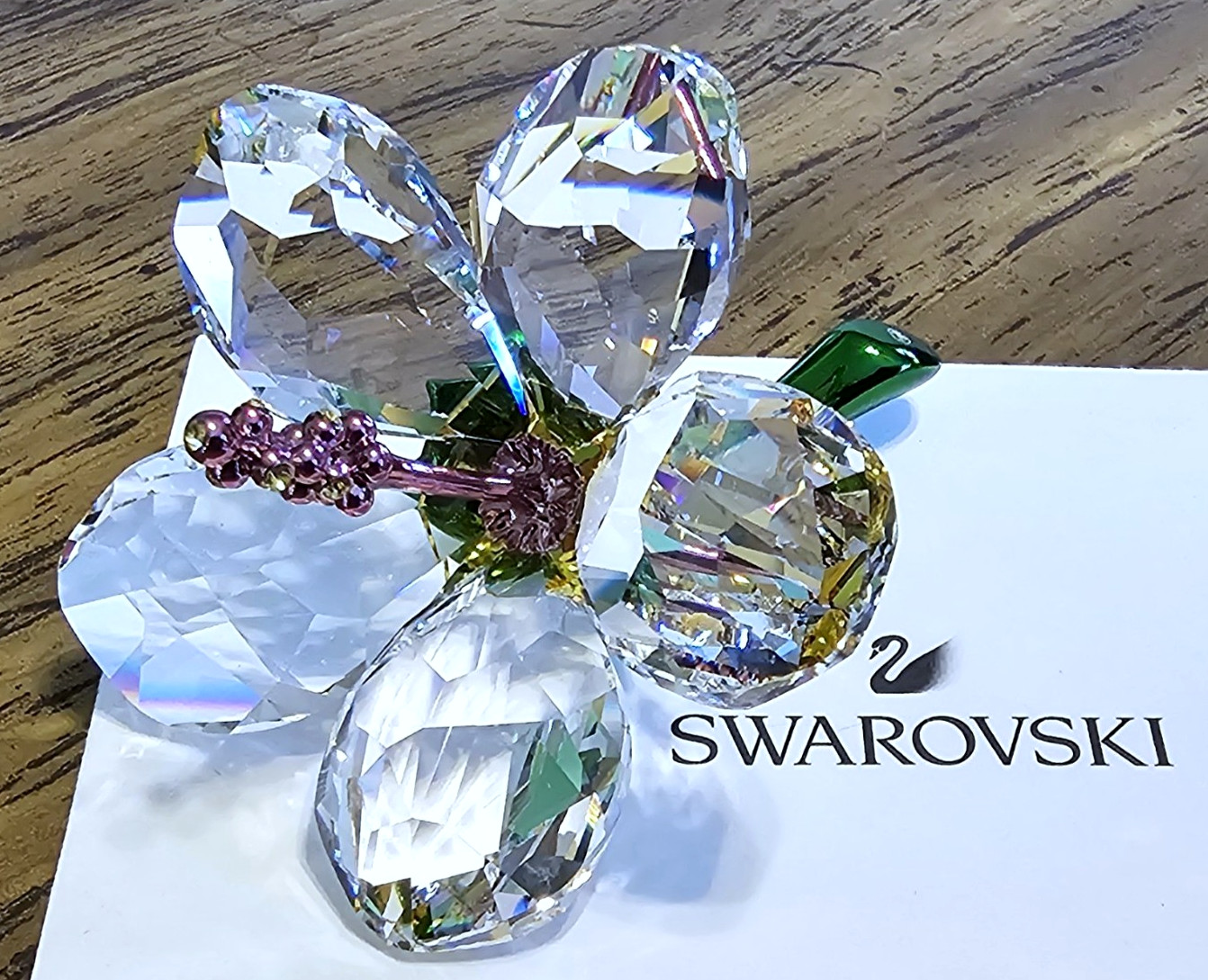 🌺 Swarovski Crystal 2025 