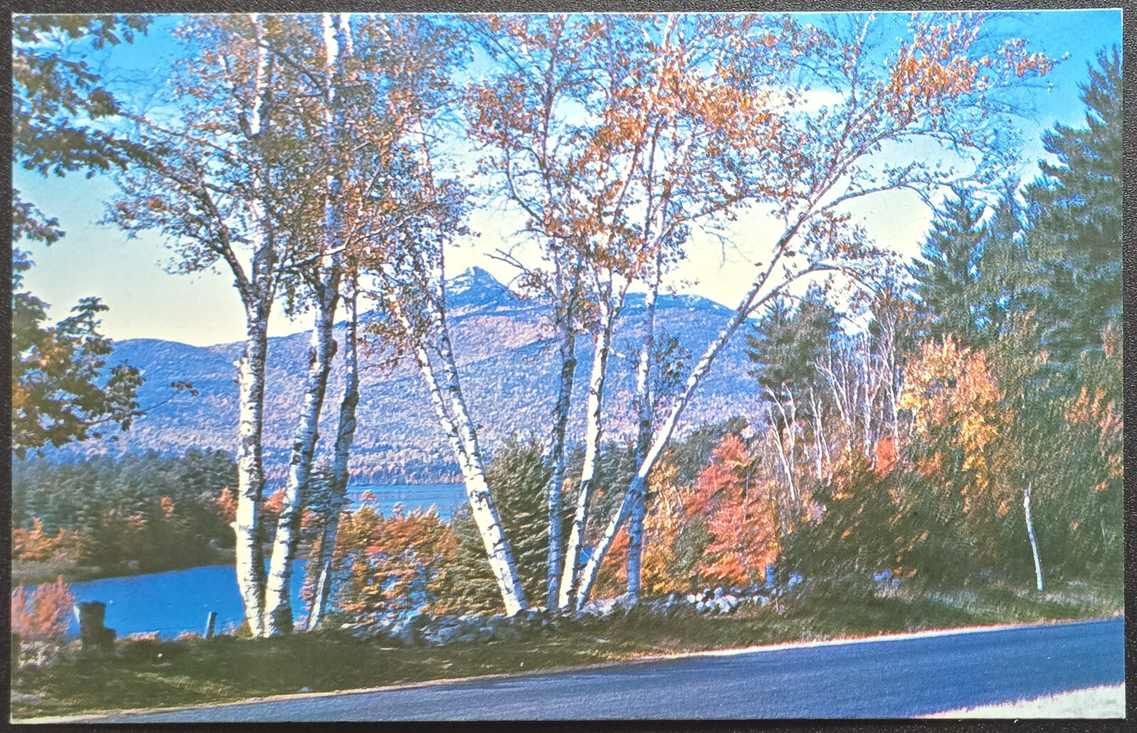 Mt. Chocorua and Lake White Mountains NH Scenic Postcard