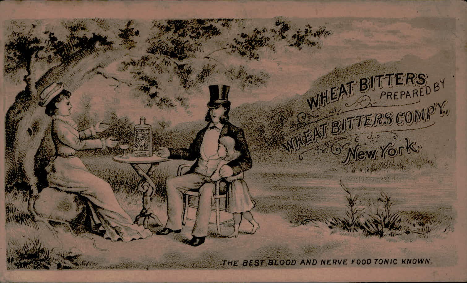WHEAT BITTERS PREPARED BY WHEAT BITTERS COMPY New York THE B