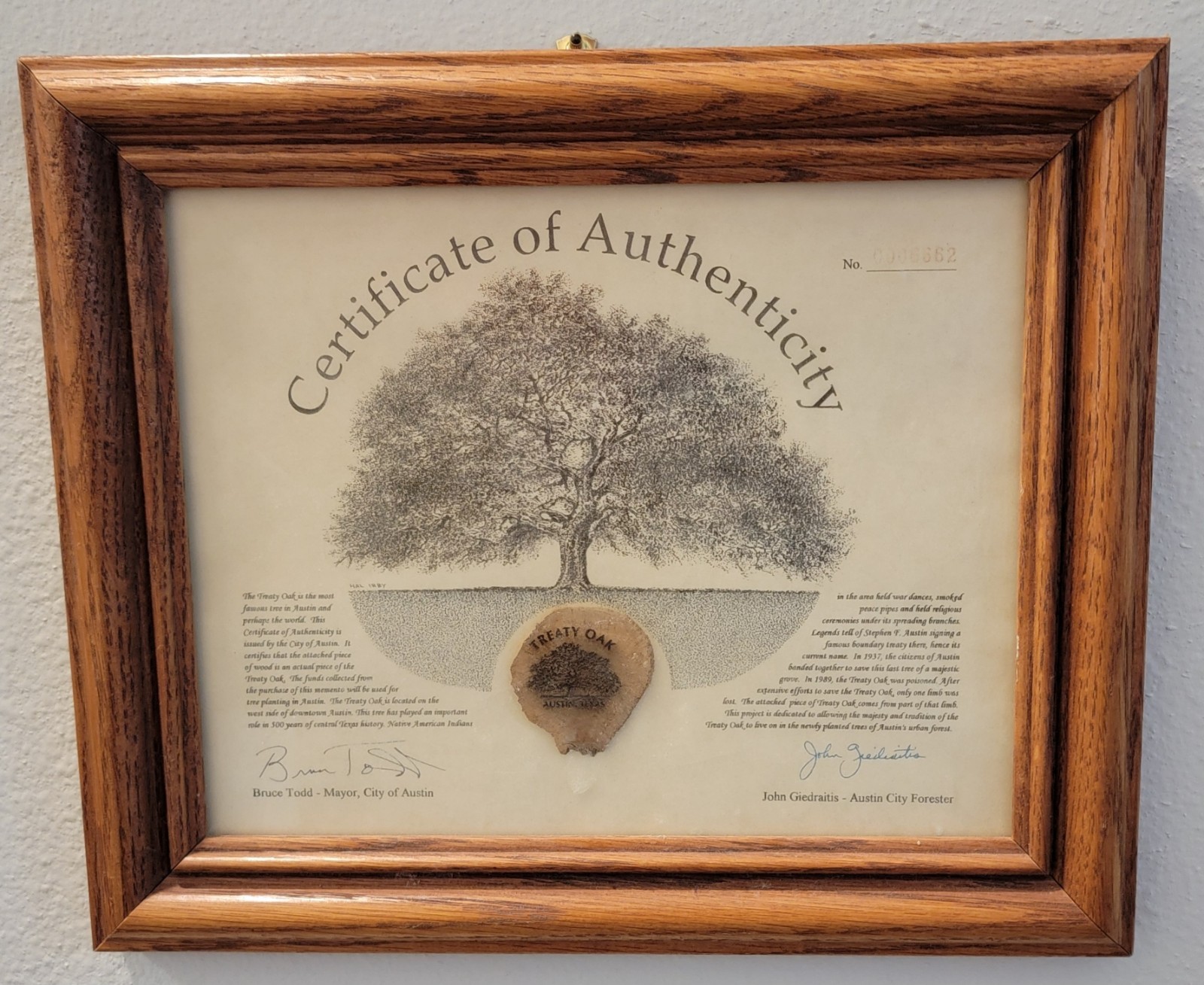 Historic TREATY OAK 1992 Framed Relic AUSTIN Texas COA No. 6662 ☆ Poisoned Tree Historic TREATY OAK 1992 Framed Relic AUSTIN Texas COA No. 6662 ☆ Poisoned Tree