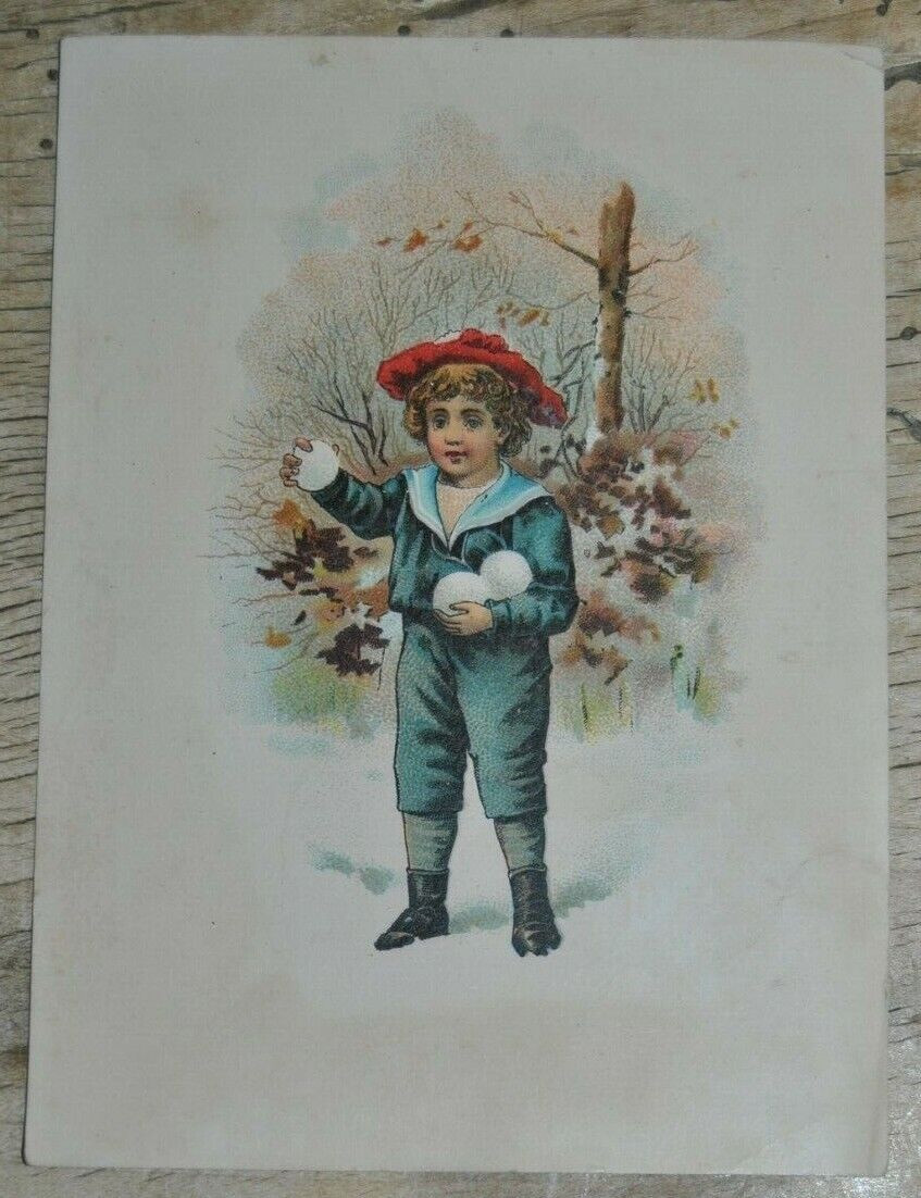 Victorian Trade Card ALBION MFG CO. Albion Michigan Albion Spring Tooth 