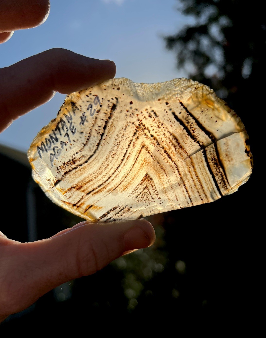 Linus Pauling Collection: Banded Montana Moss Agate Slab, 49.53g Lapidary Slice