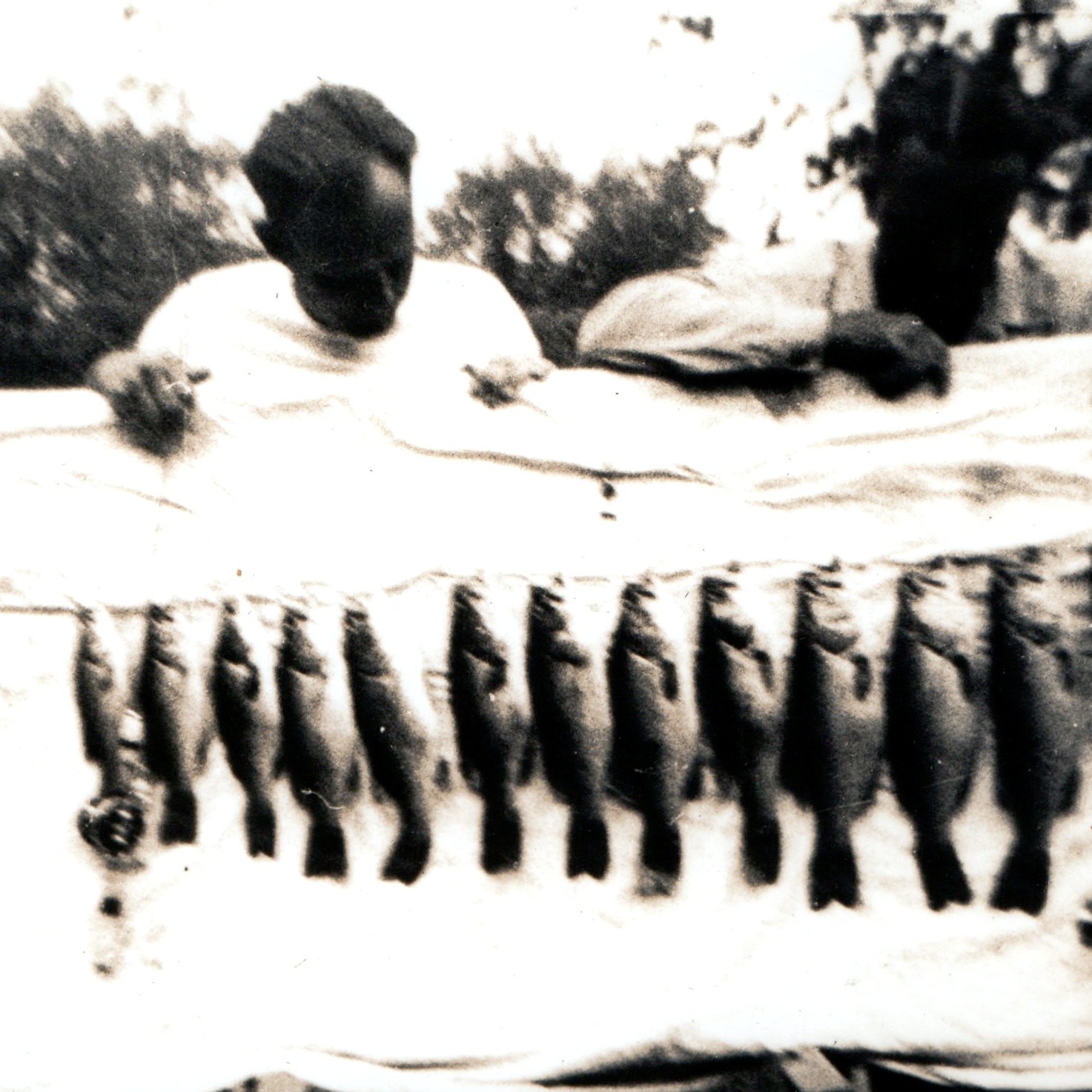 c1930s Fishing Catch Stringer of Bass Men Display Snapshot Photo Angler Outdoors c1930s Fishing Catch Stringer of Bass Men Display Snapshot Photo Angler Outdoors