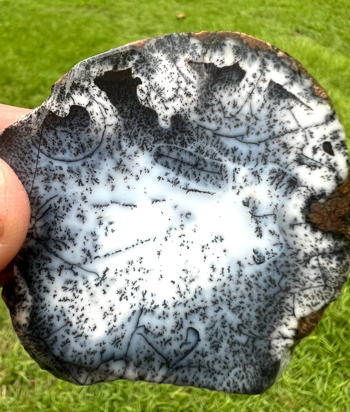 Rare Turkish Dendretic Opal Slab - 49g - Make beautiful jewelry, or to collect