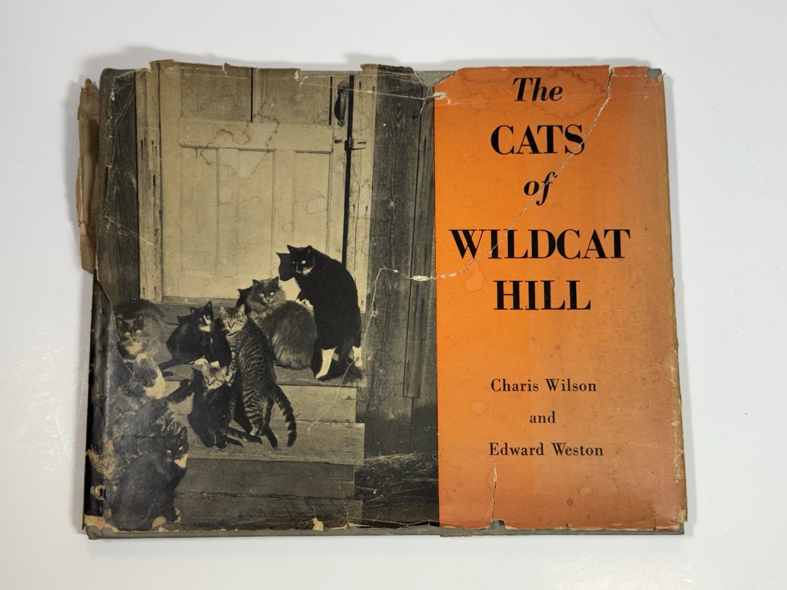 The Cats of Wildcat Hill by Edward Weston 1947 Hardcover Book 1st Edition The Cats of Wildcat Hill by Edward Weston 1947 Hardcover Book 1st Edition