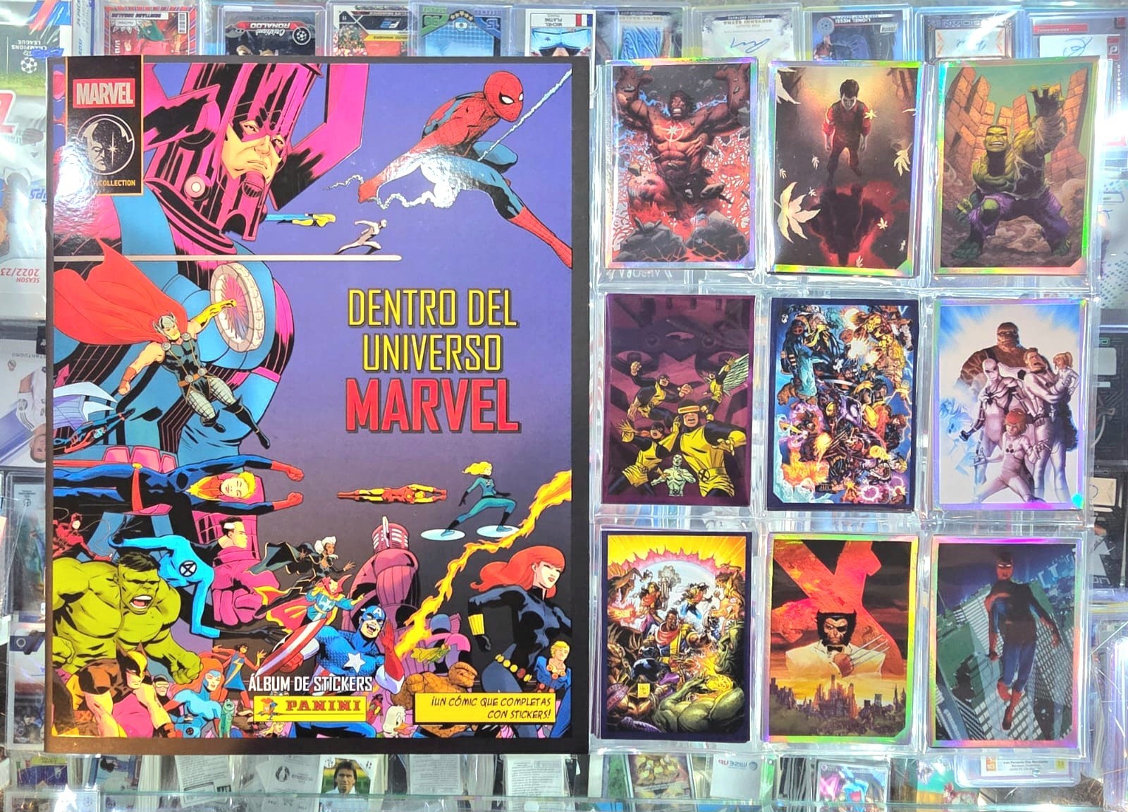 Panini Dentro del Universo Marvel Sticker Album + Complete Stickers Set.