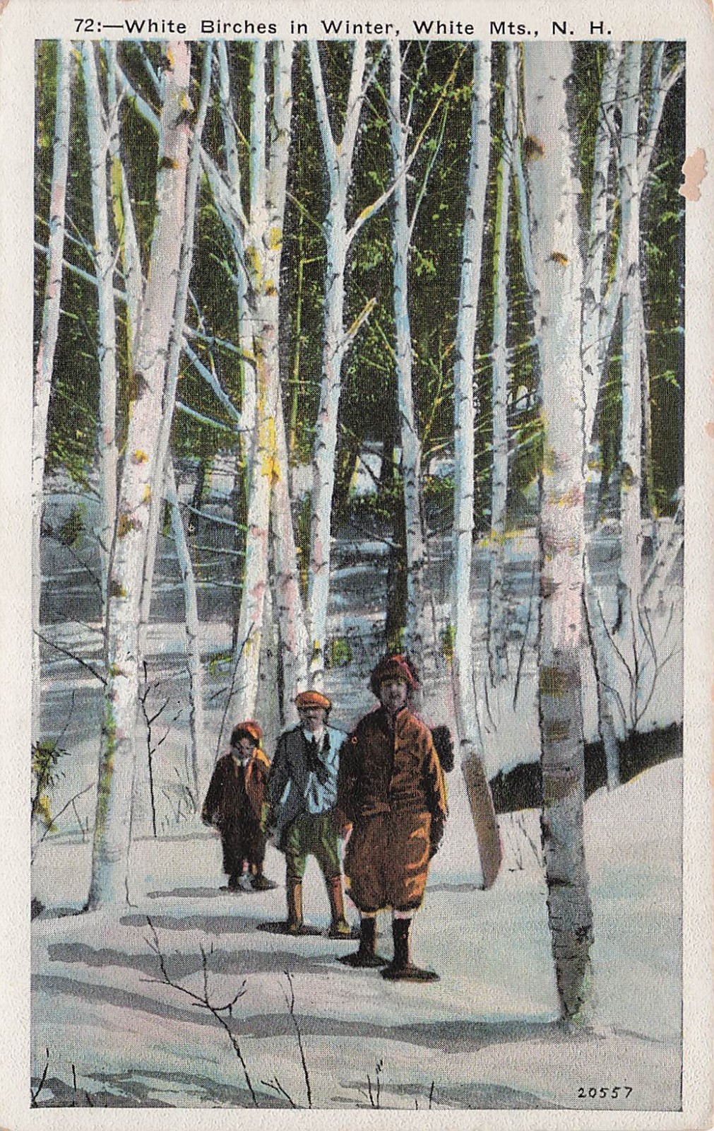 White Birches in Winter White Mountains New Hampshire NH Vtg Postcard I30