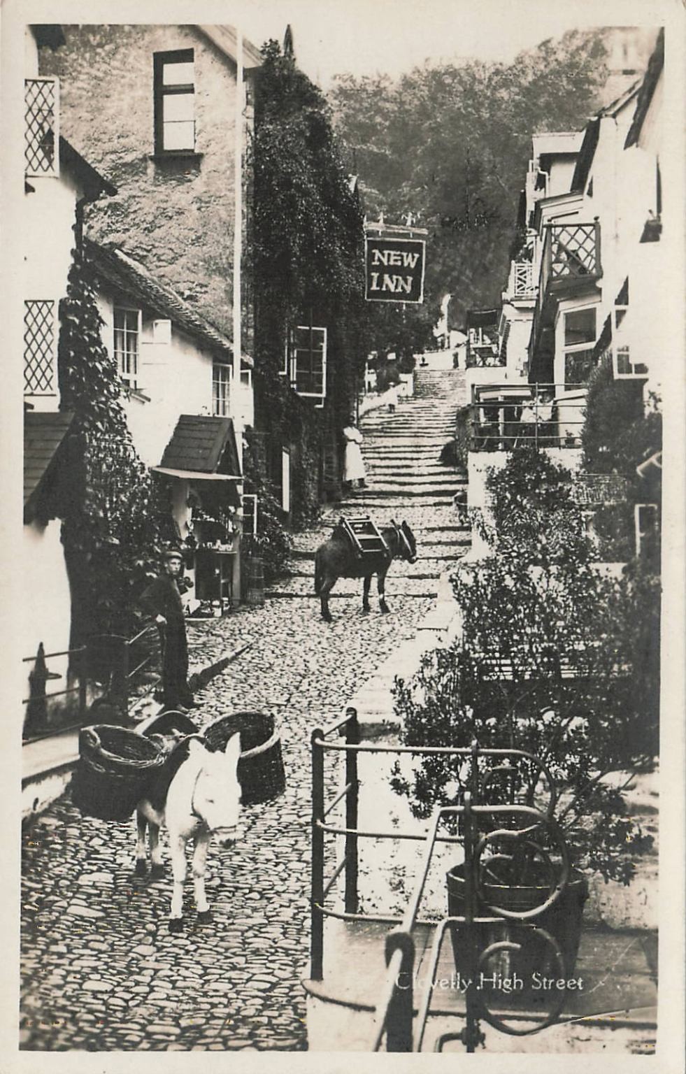Clovelly High Street Donkeys RPPC G. S. Reilly New Inn Devon England Postcard Clovelly High Street Donkeys RPPC G. S. Reilly New Inn Devon England Postcard