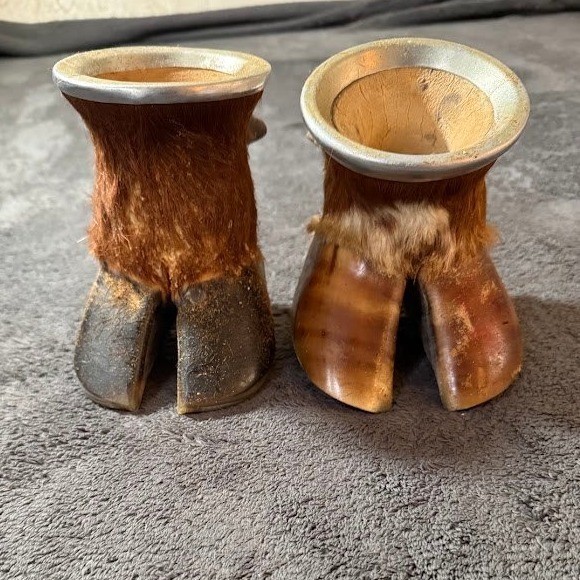 Vintage Taxidermy Hoof Yerba Mate Gourd Cups Pair Rustic South American Folk Art Vintage Taxidermy Hoof Yerba Mate Gourd Cups Pair Rustic South American Folk Art