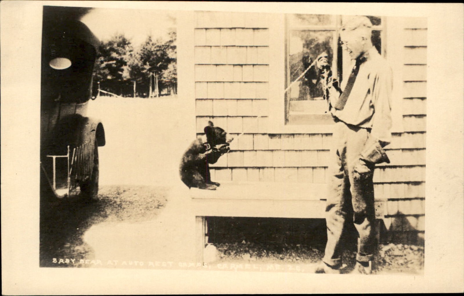 Carmel ME Man with Bear c1900s-10s Real Photo Vintage Postcard bhn
