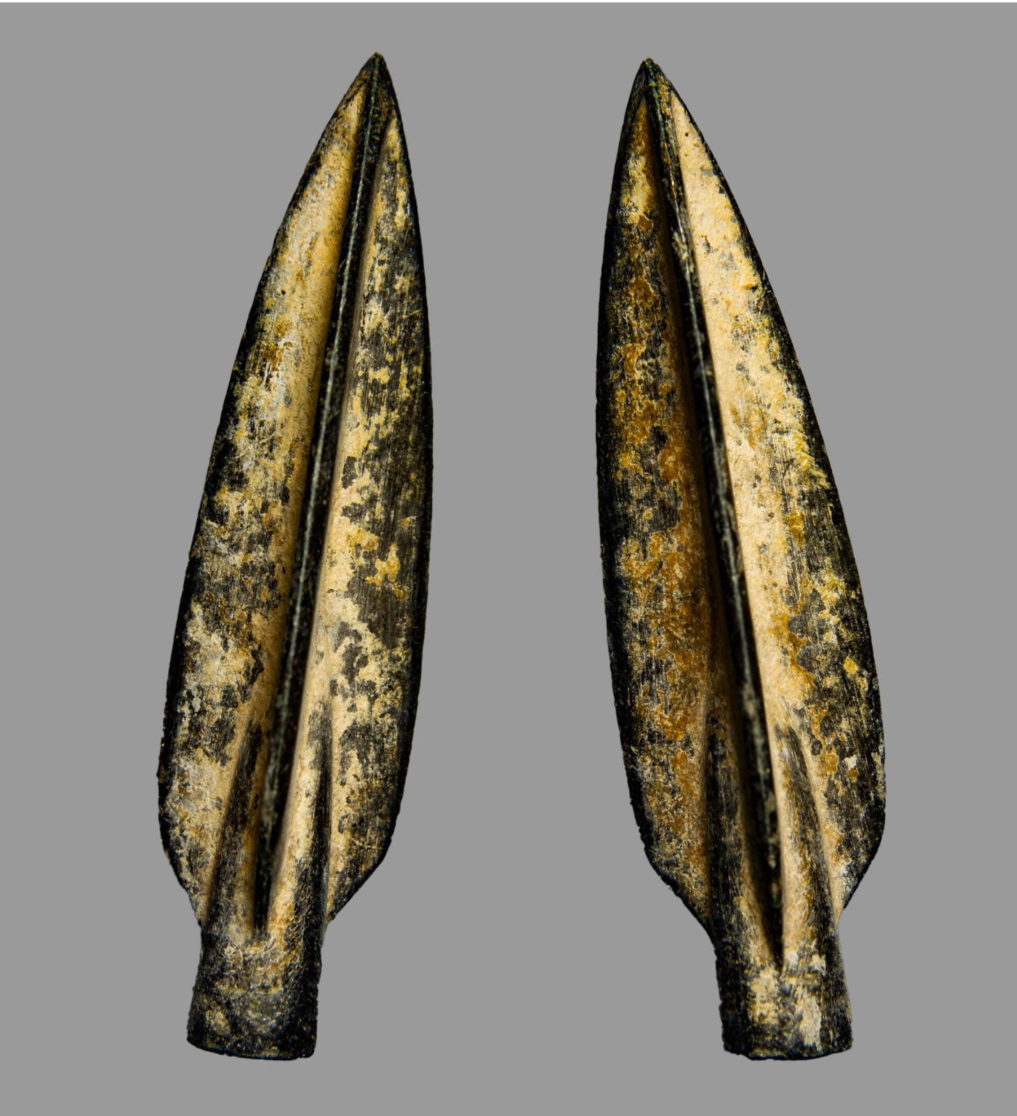 Roman Bronze Trilobite Arrowhead 36mm Levant Find c. 100 BC-300 AD COA