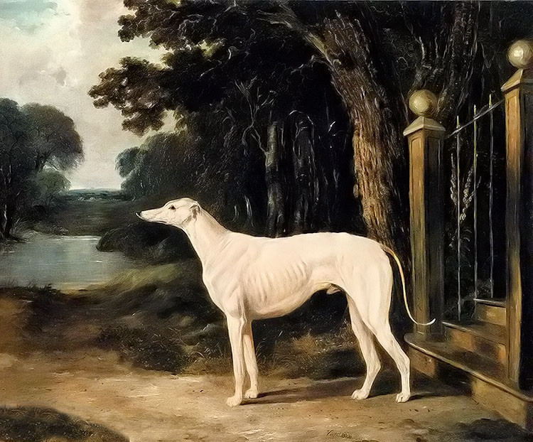 Dream-art hand painted Oil painting animals a white greyhound in landscape art