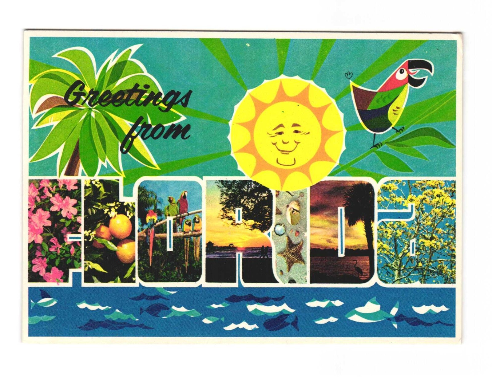 Greetings From Florida Postcard Unposted 4x6