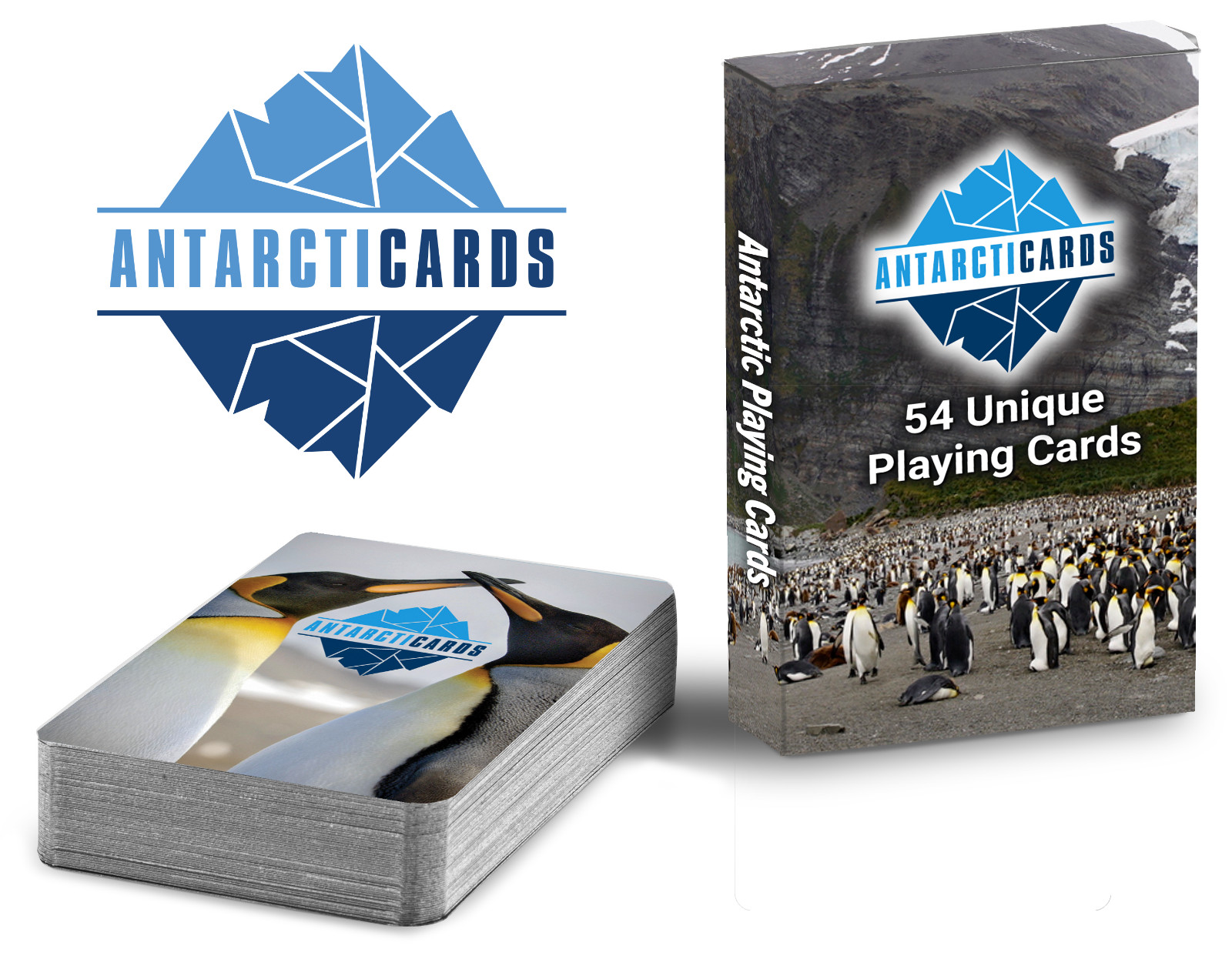 ANTARCTICA PLAYING CARDS SIR ERNEST SHACKLETON - INTERACTIVE 360 VIRTUAL TOURS
