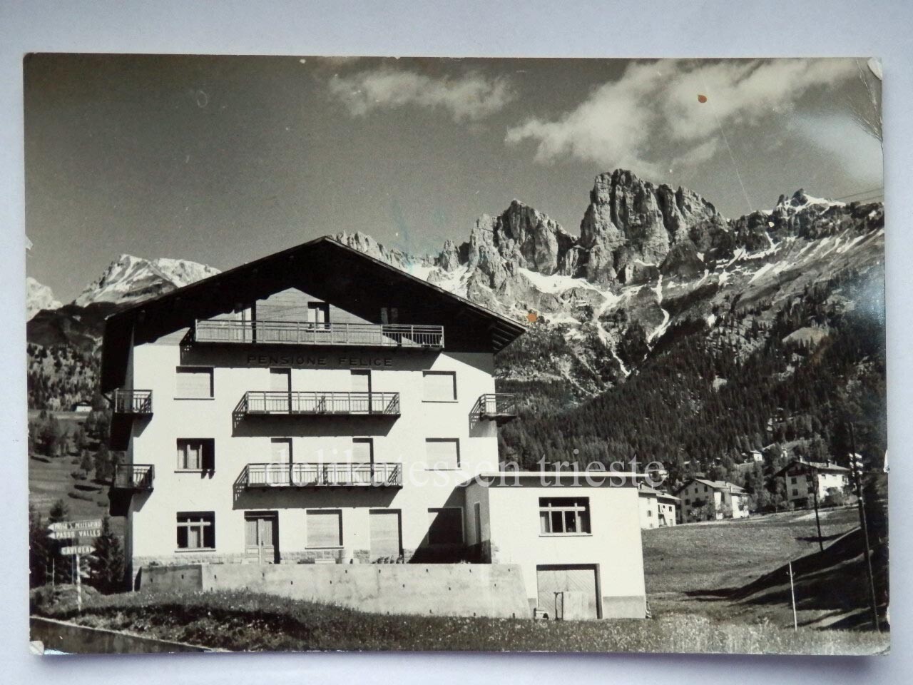 CAVIOLA Pensione Felice FALCADE Dolomiti Belluno old postcard