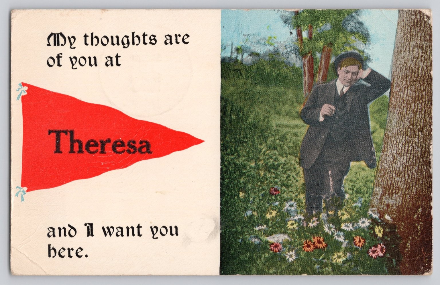 1913 Theresa NY Pennant Postcard Man Tree Flowers \
