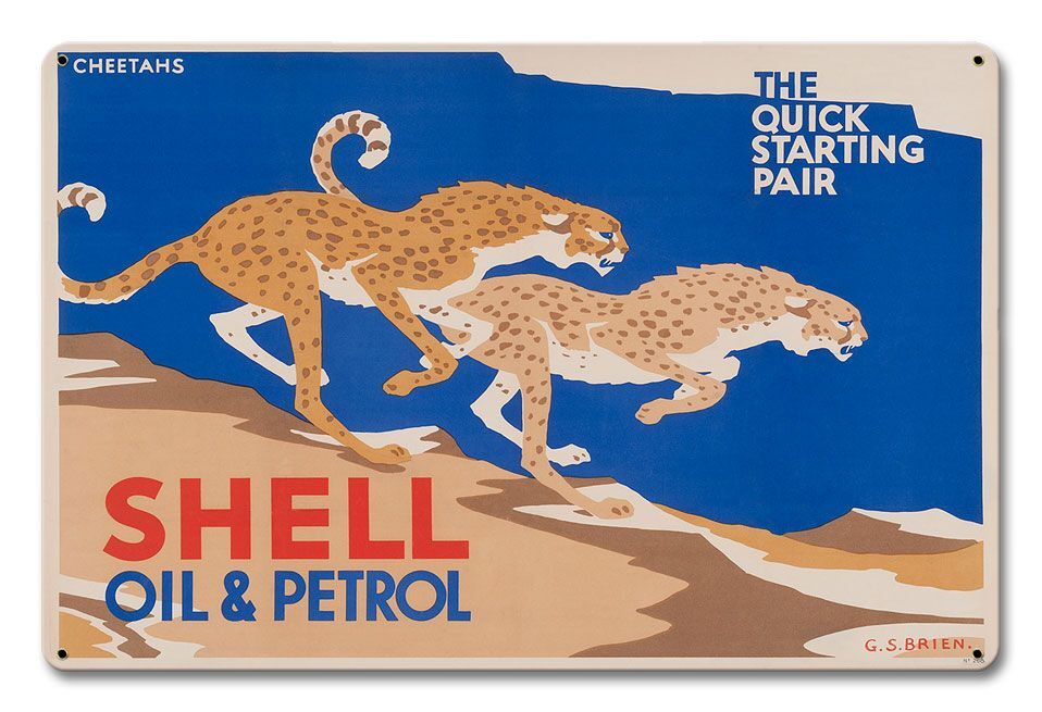 SHELL QUICK STARTING PAIR CHEETAHS CATS 18\