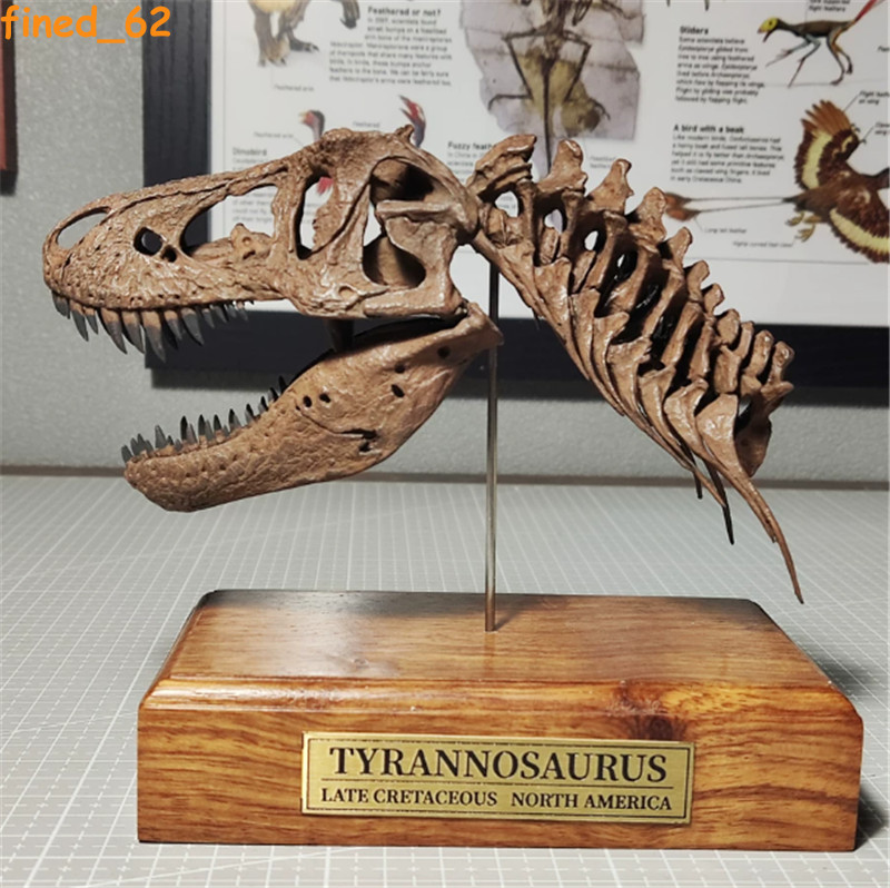 Tyrannosaurus Rex Skull Fossil Model Handcraft Dinosaur Statue With Wood Base