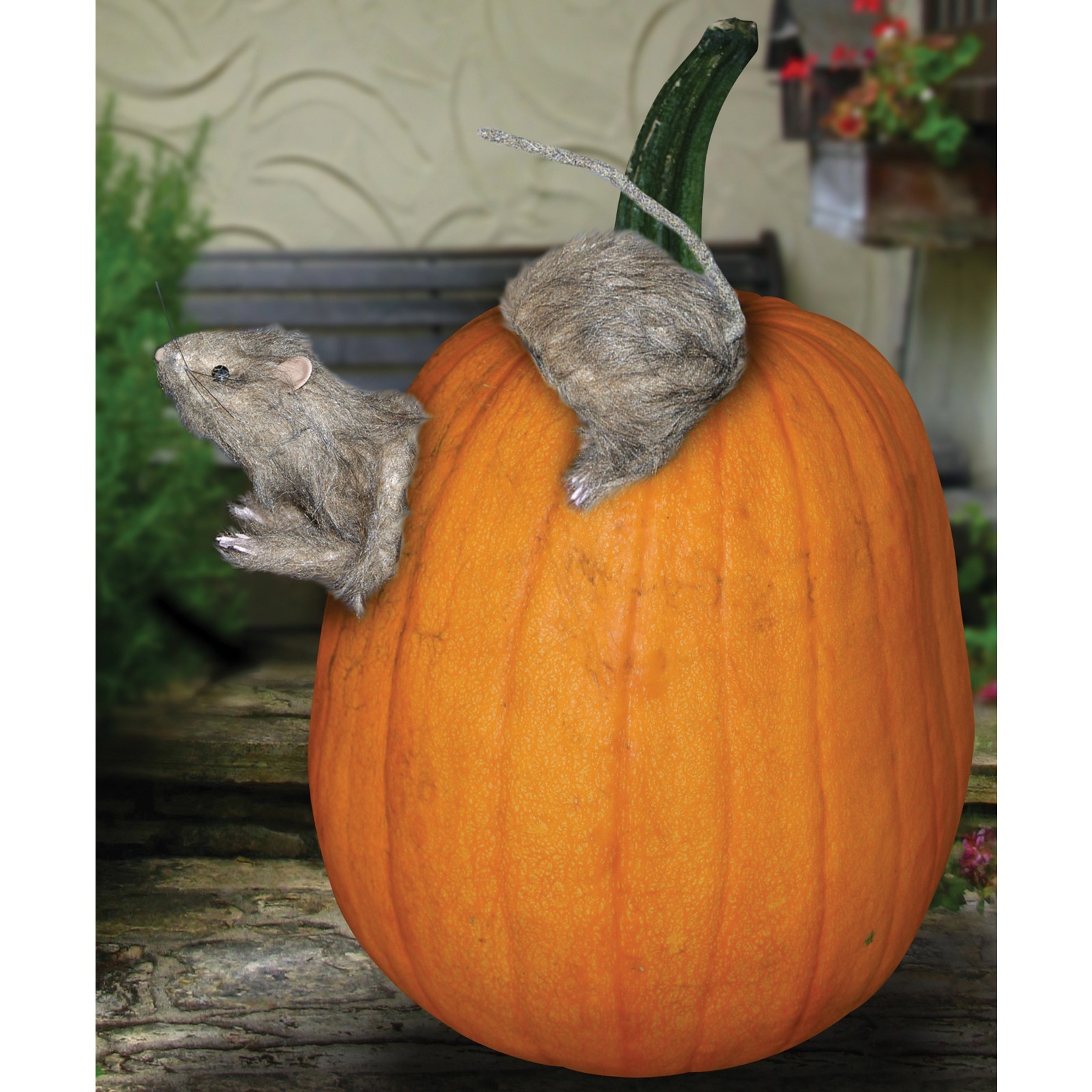 Realistic Furry RAT Pumpkin Push Ins EASY WAY TO DECORATE PUMPKINS New
