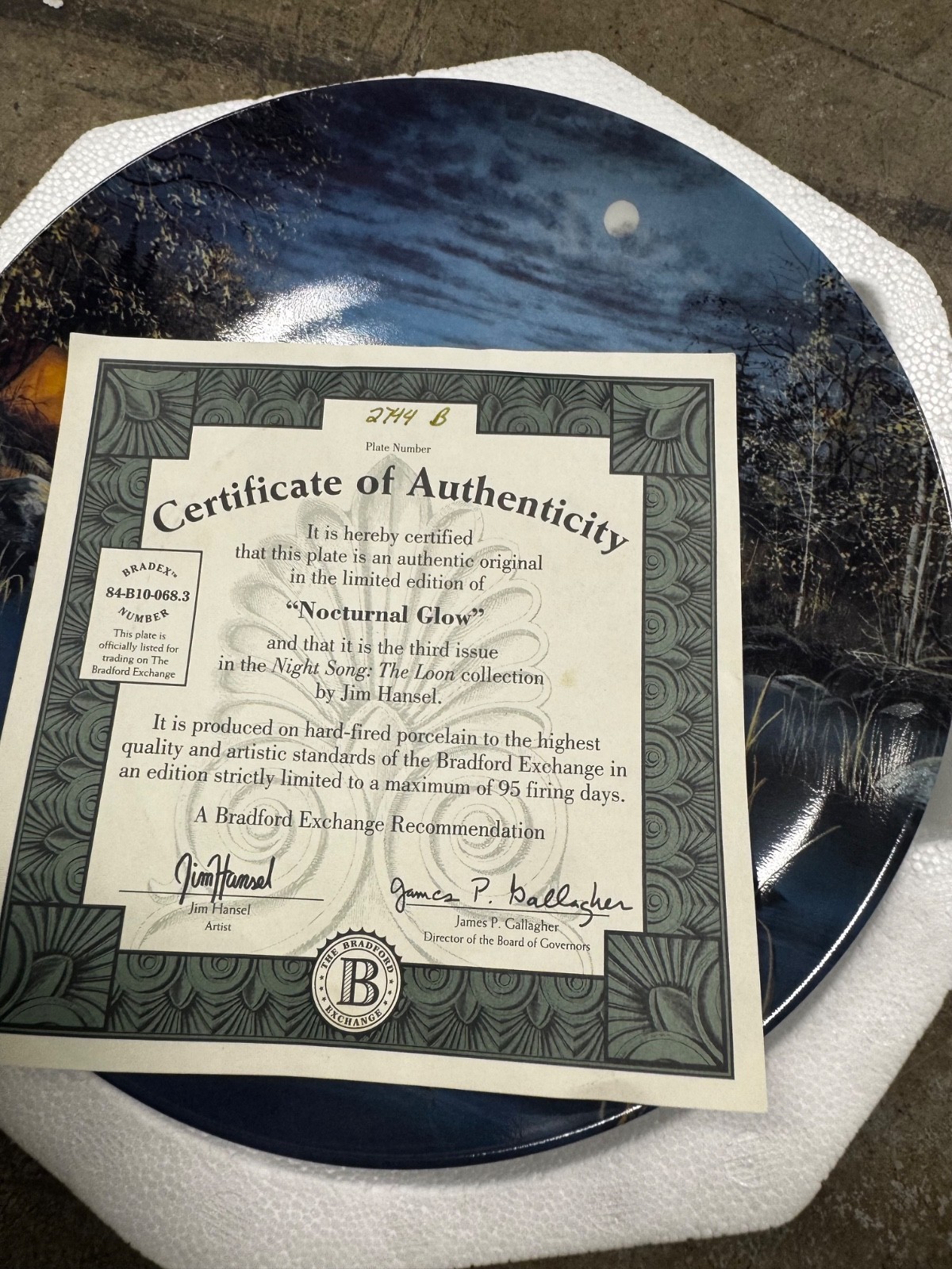 Nocturnal Glow Plate Night Songs: The Loon Jim Hansel Tent Camping