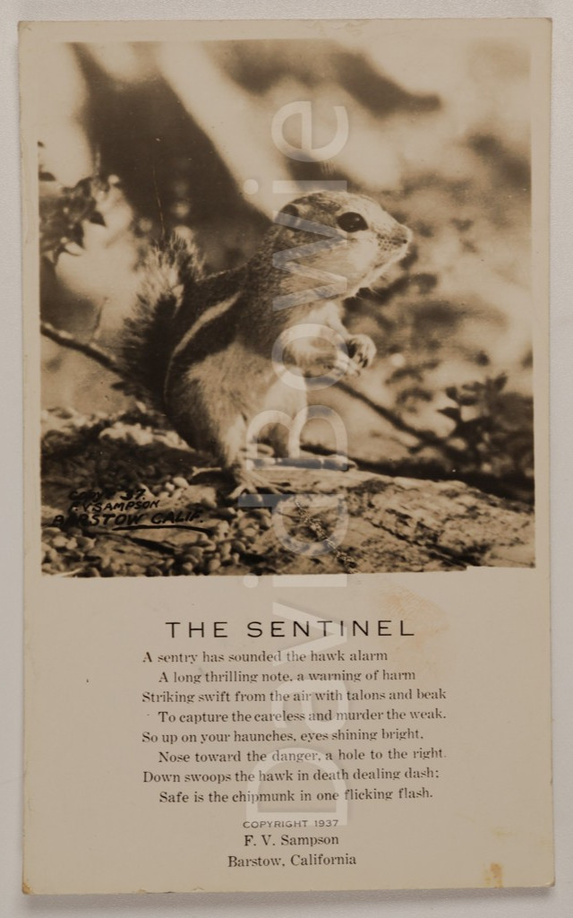 Vintage 1937 RPPC The Sentinel Chipmunk Poem F.V. Sampson Barstow CA Real Photo