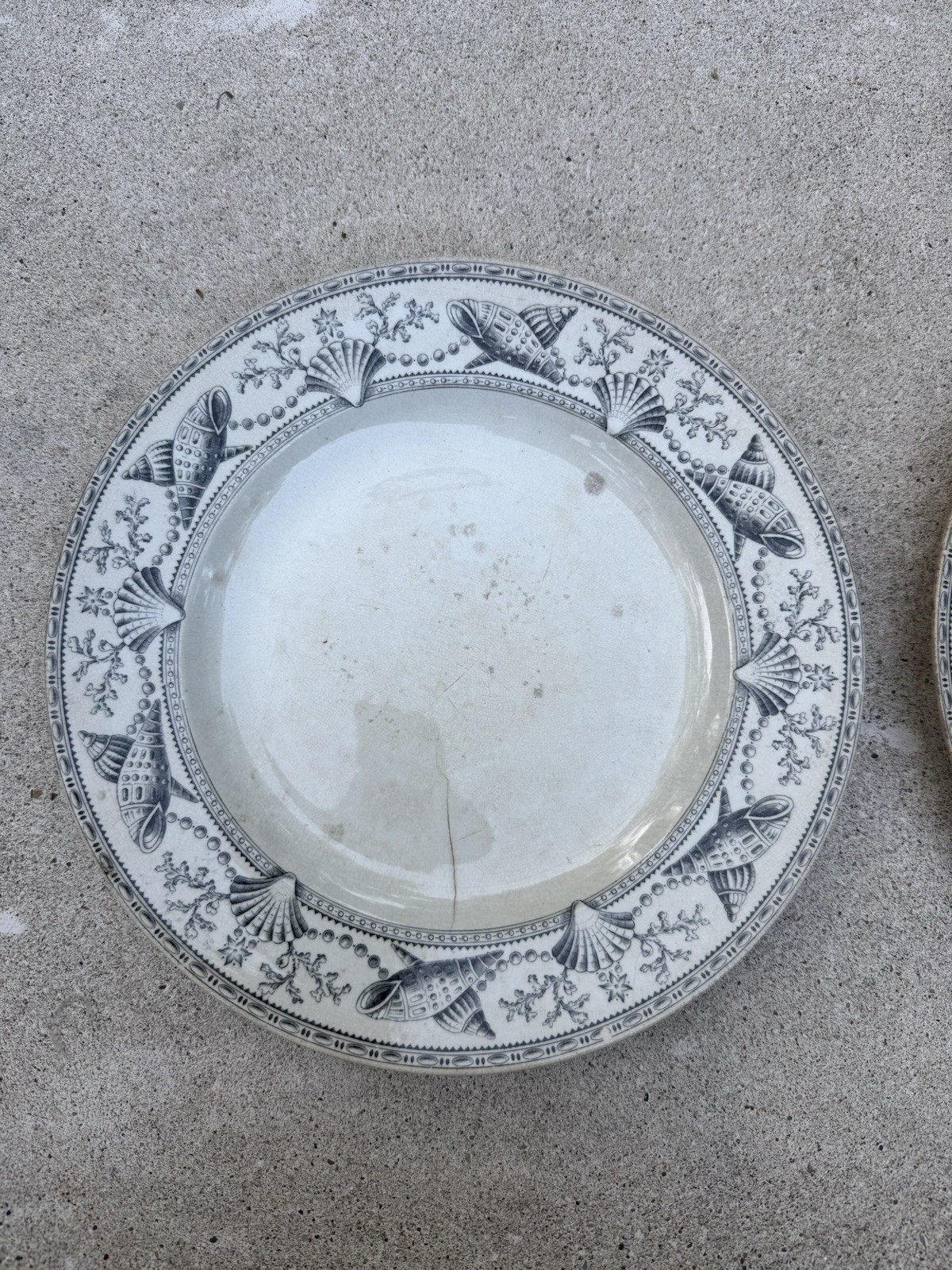 Rare- Nantasket Clovelly Transferware Sea Shells Plates (2) Vintage Antique