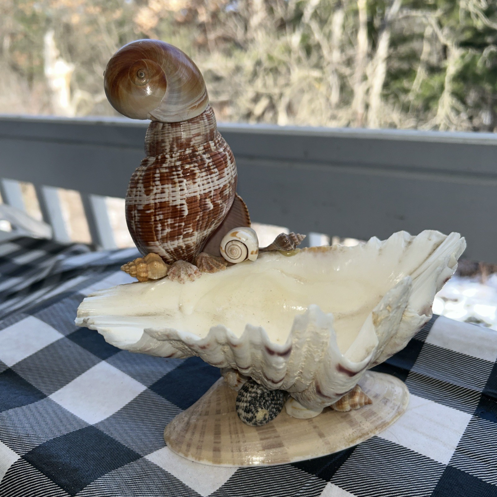 Parrot  Trinket Tray Real Sea Shells Figurine Hand Made 7”x7.5”