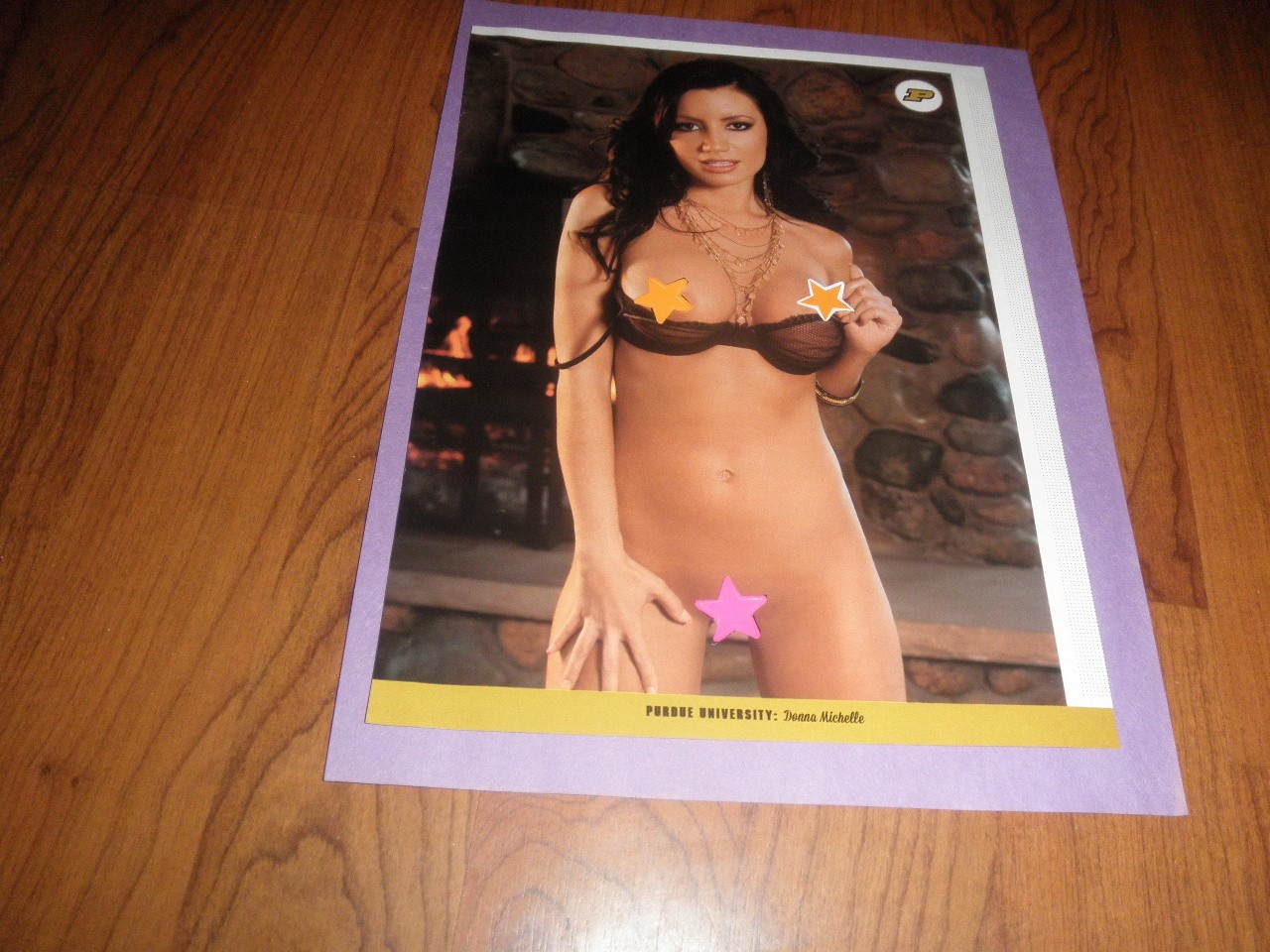PLAYBOY BIG TEN -PURDUE GIRL DONNA MICHELLE -SEXY PHOTO -8 X 10--2012