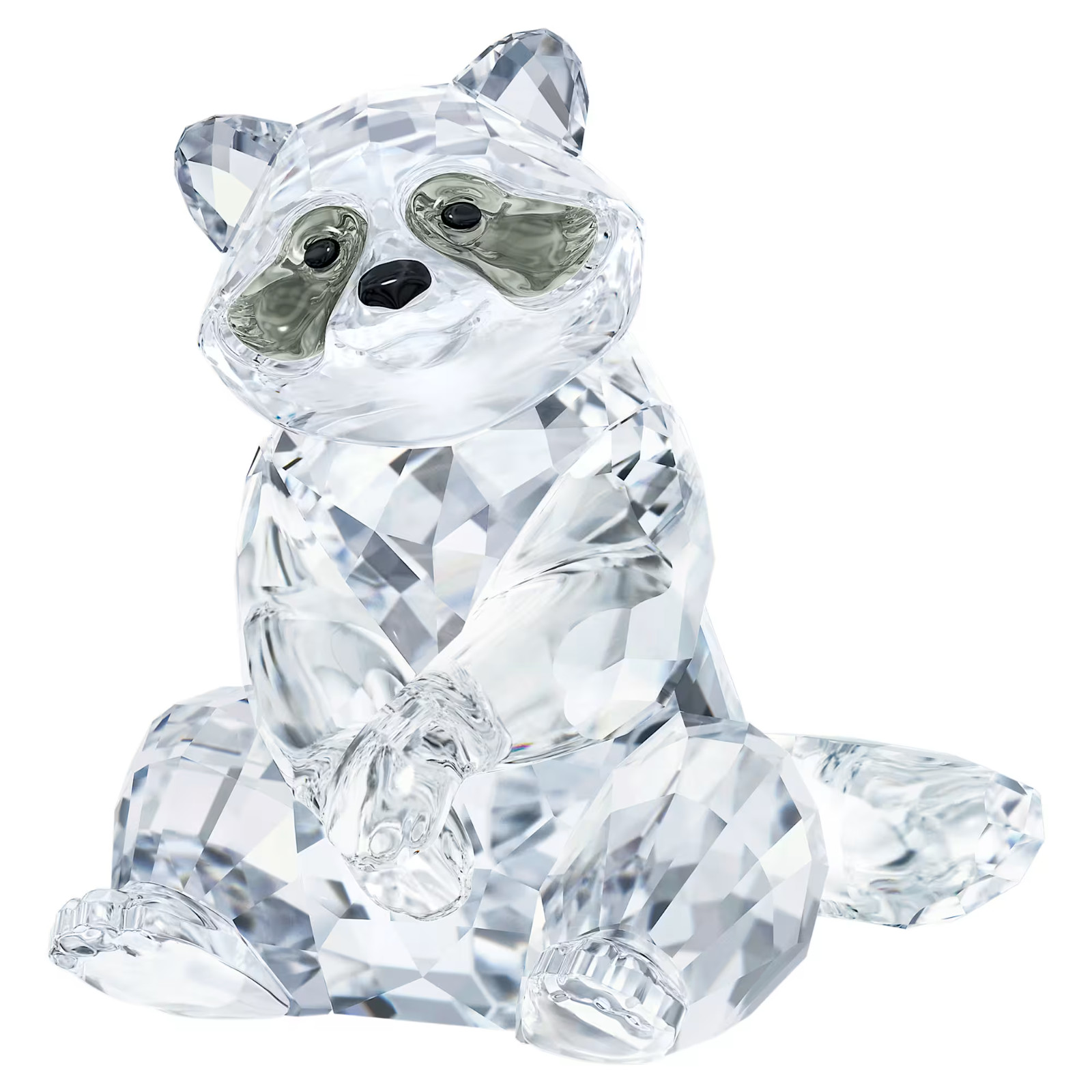 Swarovski Peaceful Countryside Racoon #5723654 New in box