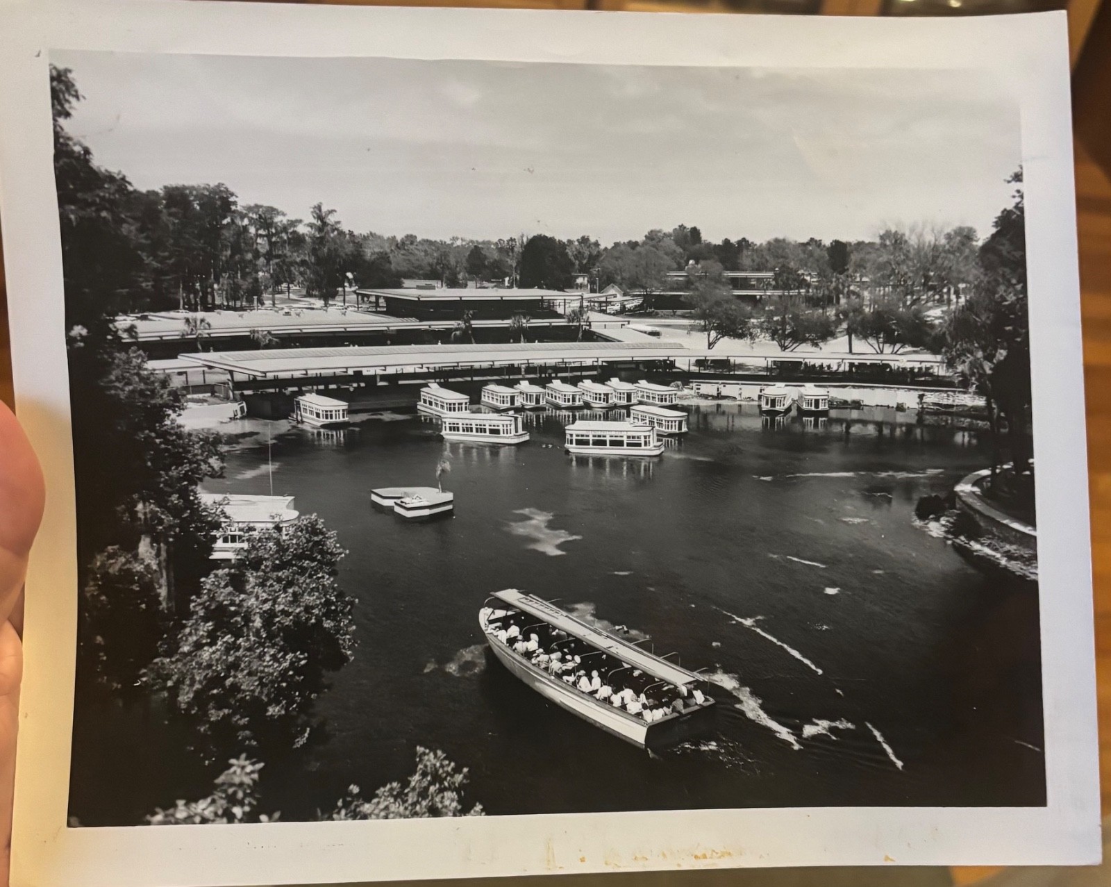 Vintage Silver Springs Florida Mozert Studios Publicity 9x7 Photo