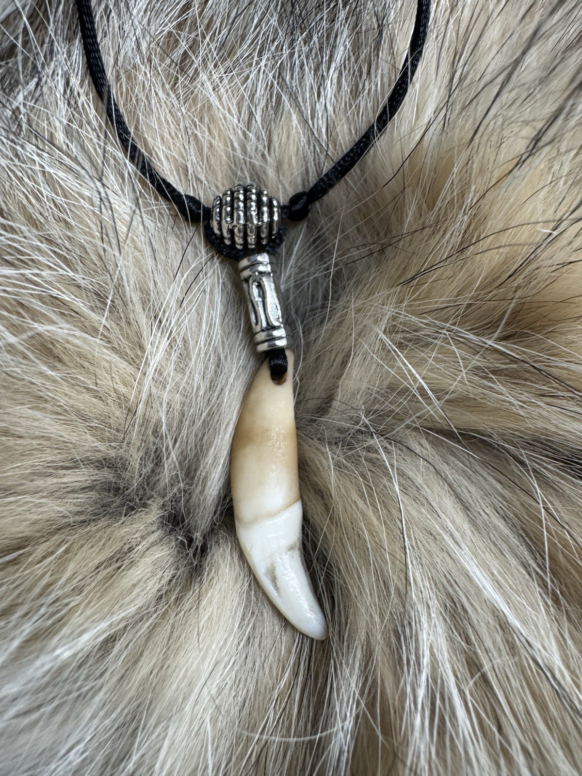 COLMILLO DE COYOTE Amuleto Talisman para Eliminar obstaculos y romper brujeria