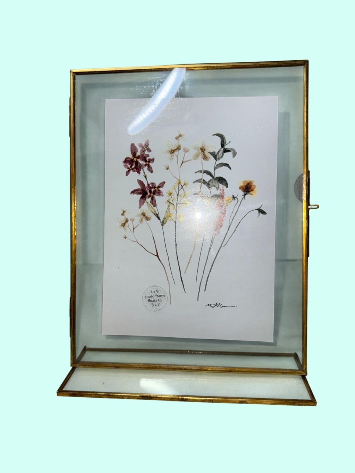 Gold Floating Glass Frame 7x9 pressed flowers