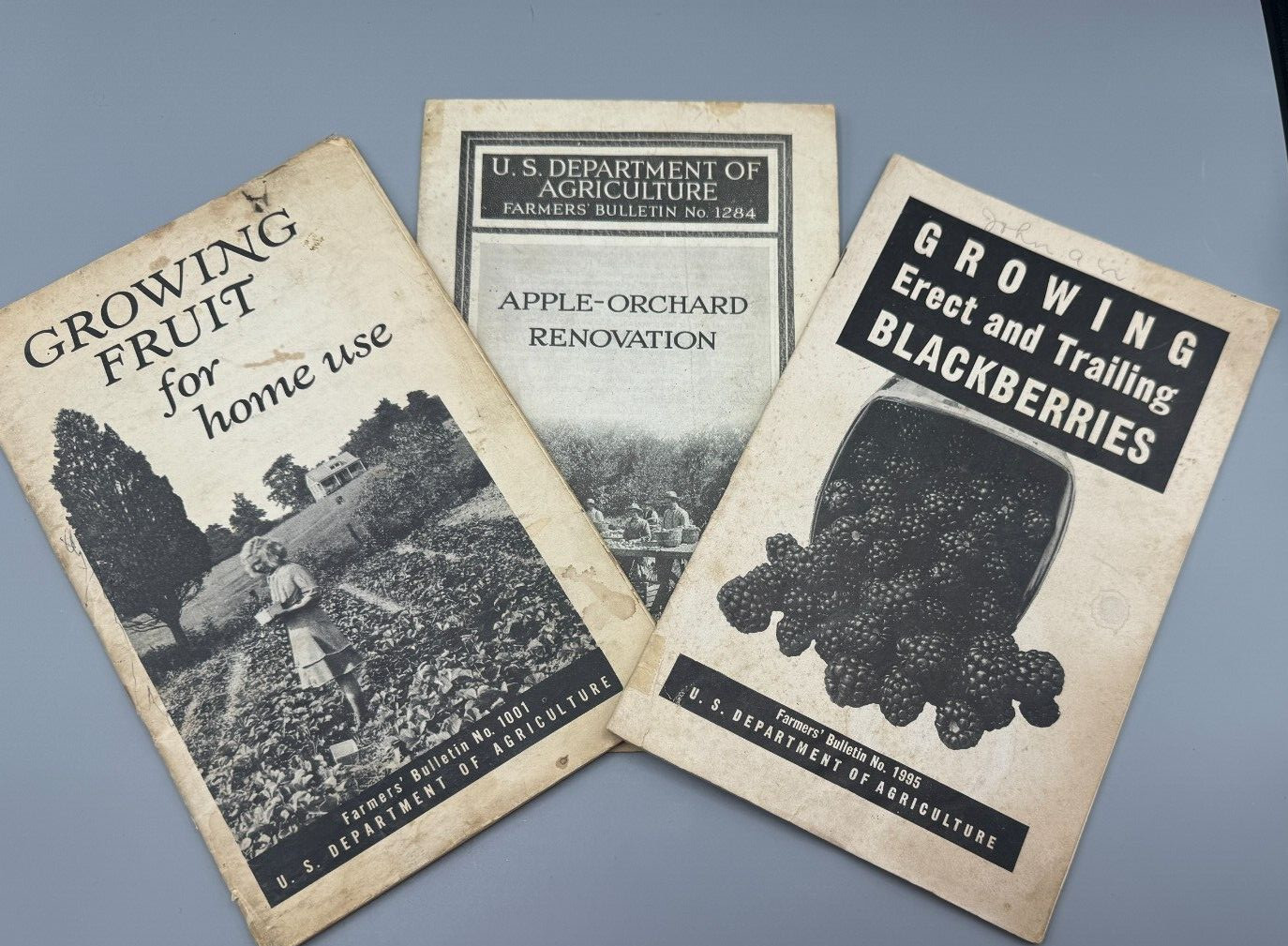 Vintage US Dept Agriculture Bulletins Growing Fruit Trees 3 - 1924, 1948, 1939