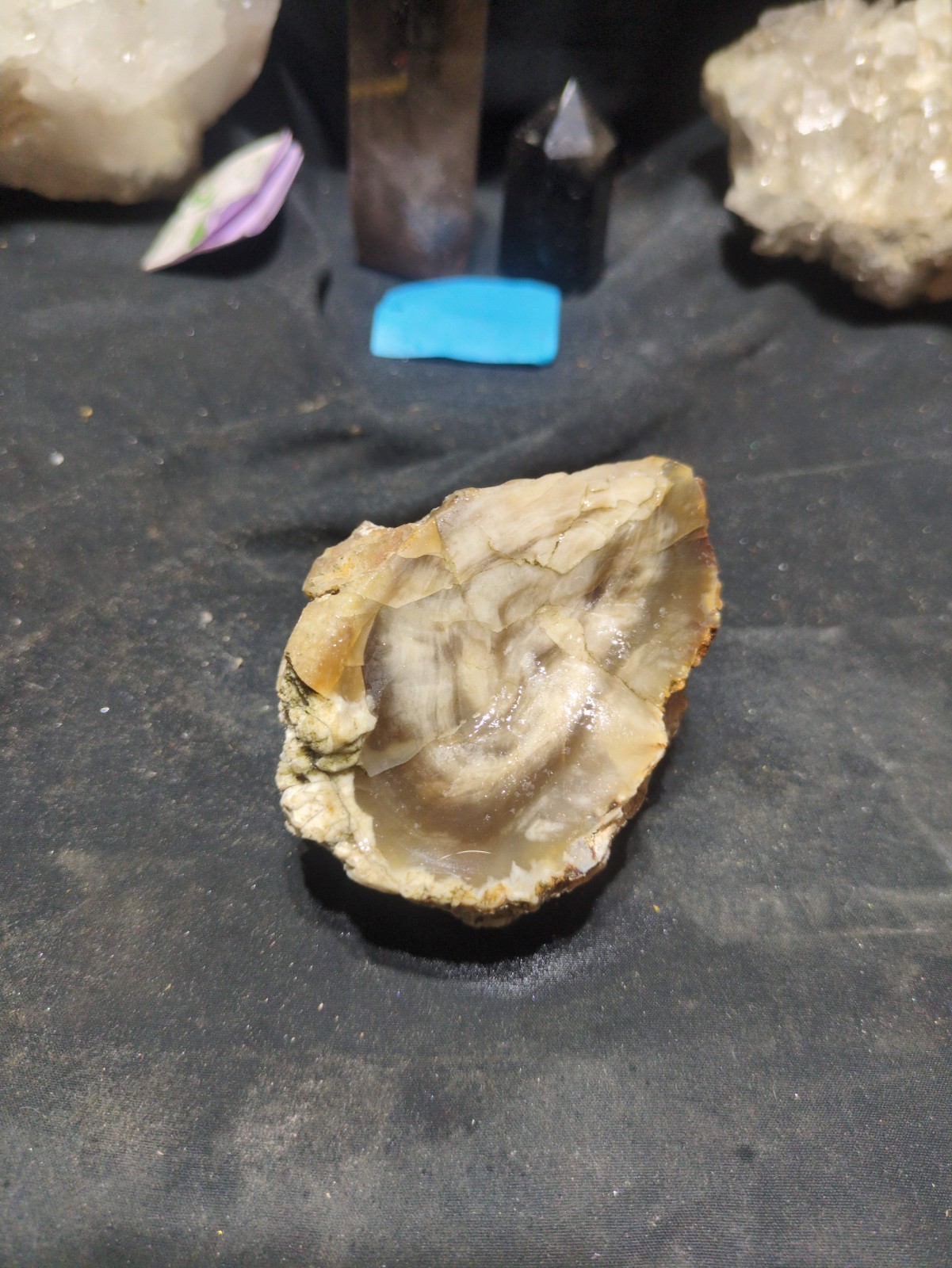 Petrified Opalized Specimen Natural Form (13oz)