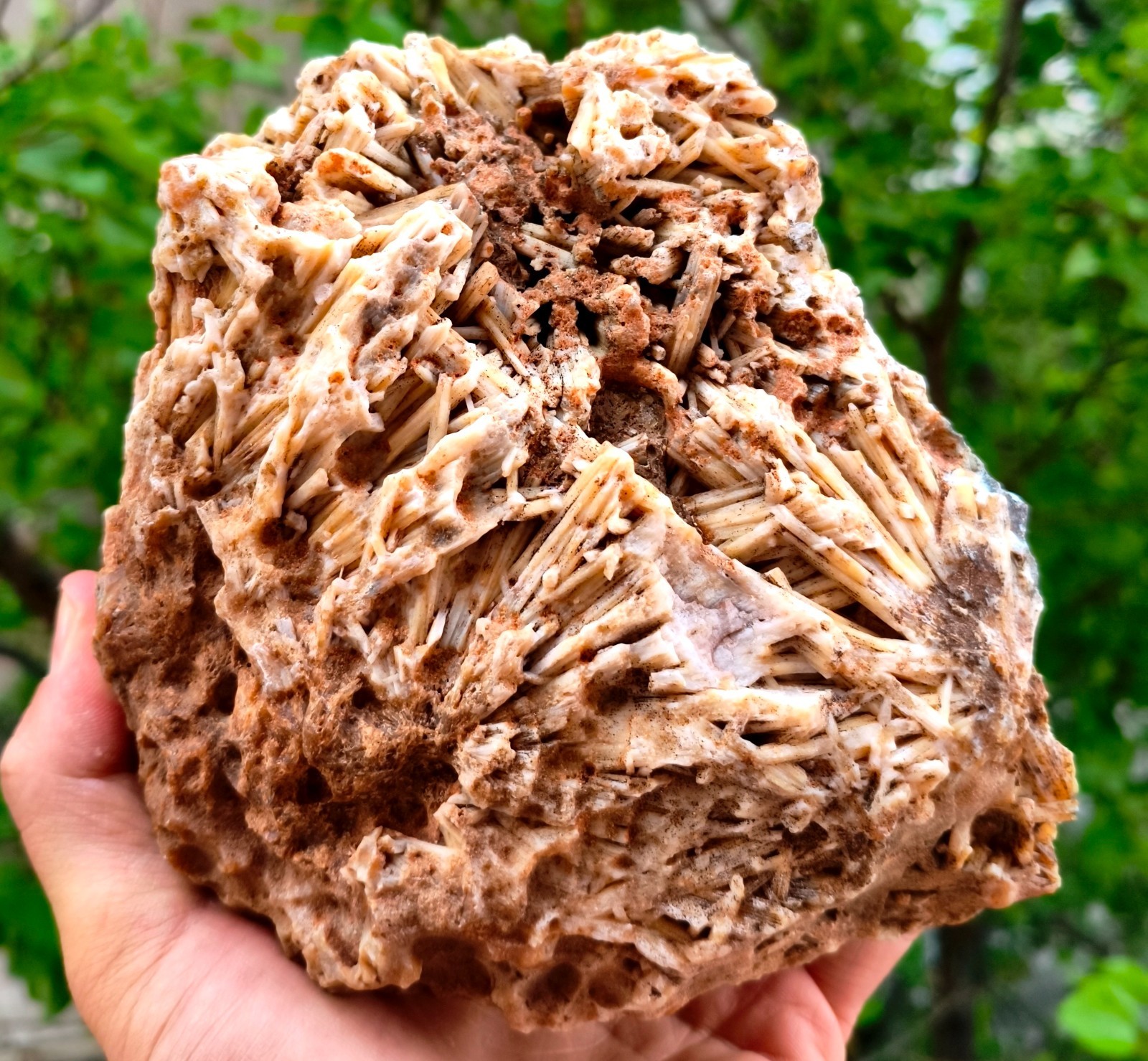 5 Lb 14.28 Oz Extremely Rare Agate Pseudomorph After Zeolite