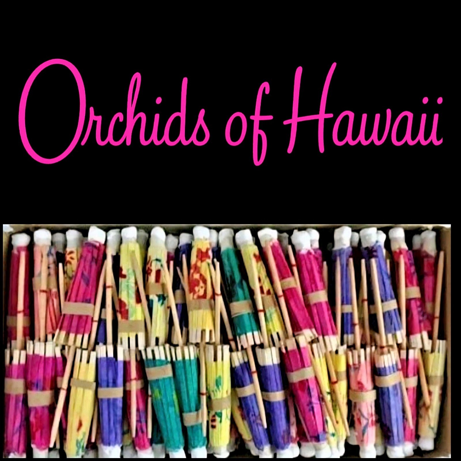 Vintage Orchids of Hawaii R-37 Cocktail Parasols
