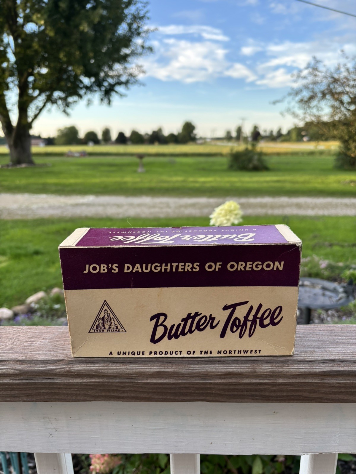 Vintage Job\'s Daughters of Oregon Butter  Toffee Candy Display Box (Empty) 